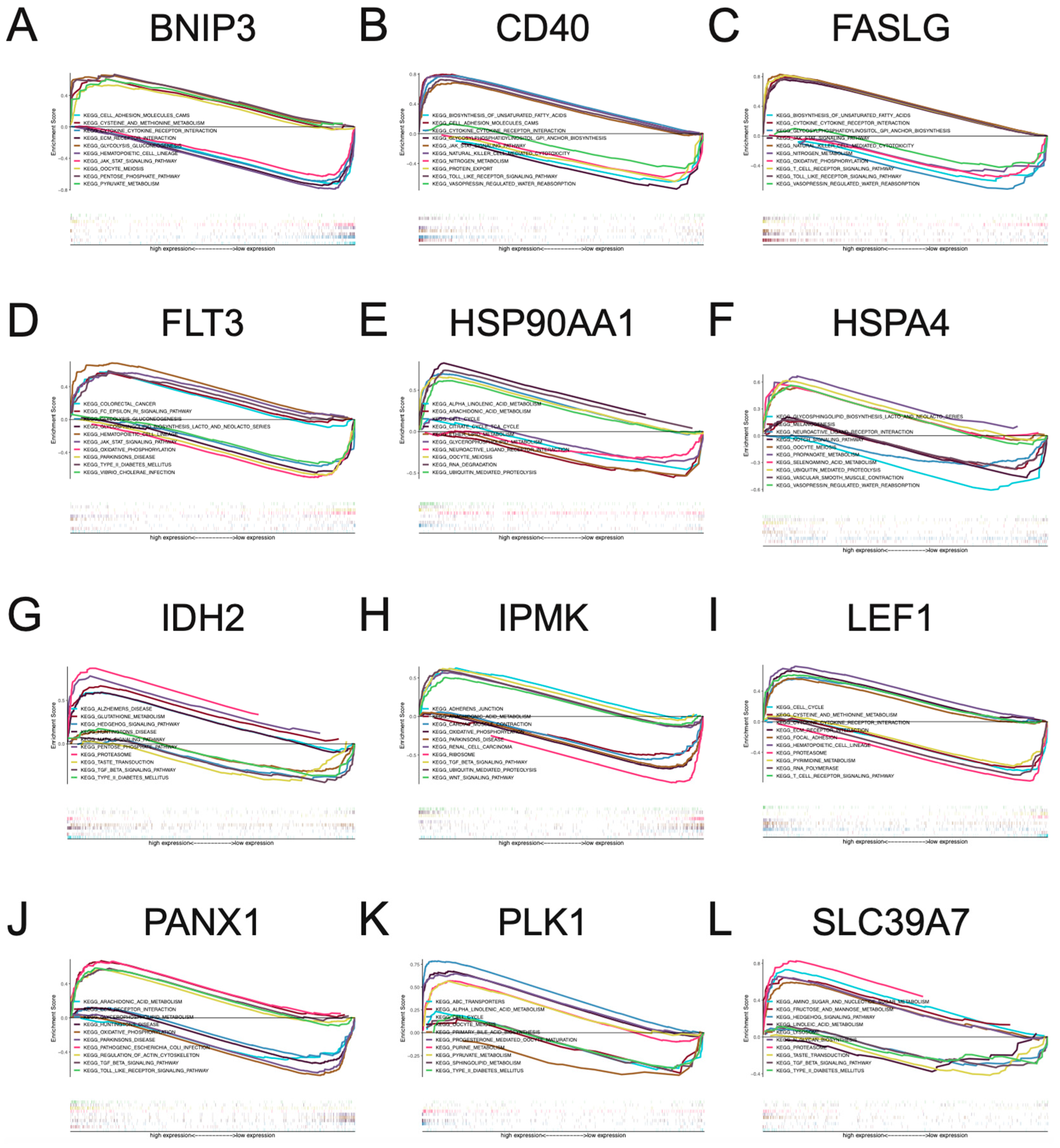 Jpm 13 00044 g005 Jpm 13 00044 g005