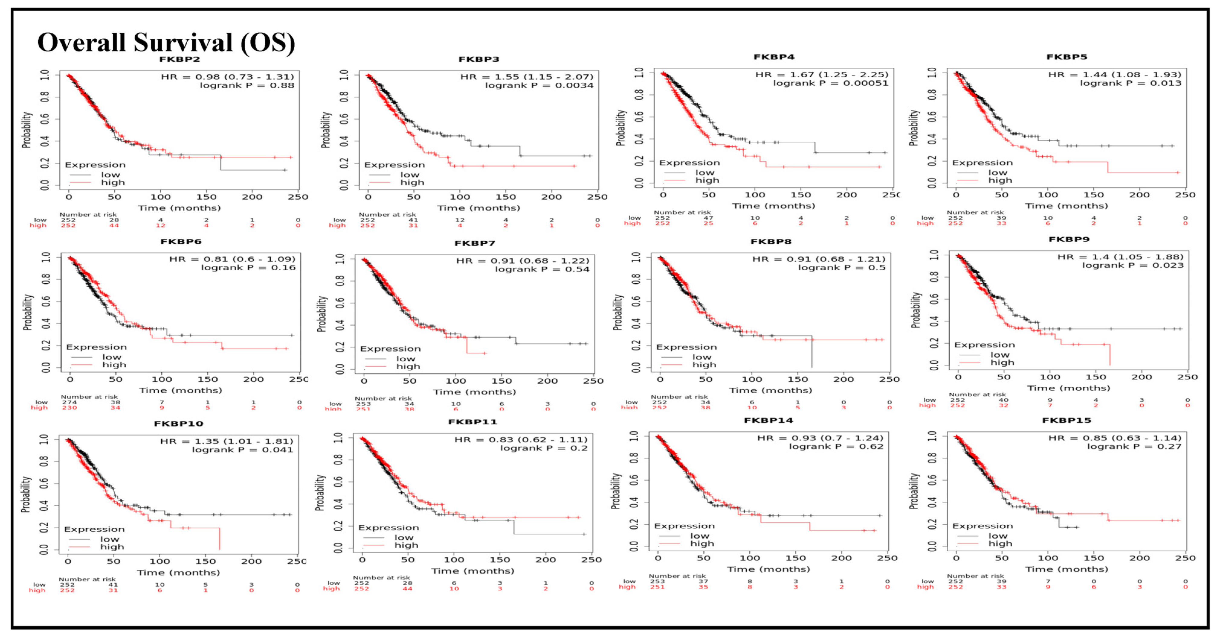 Jpm 13 00049 g002 Jpm 13 00049 g002