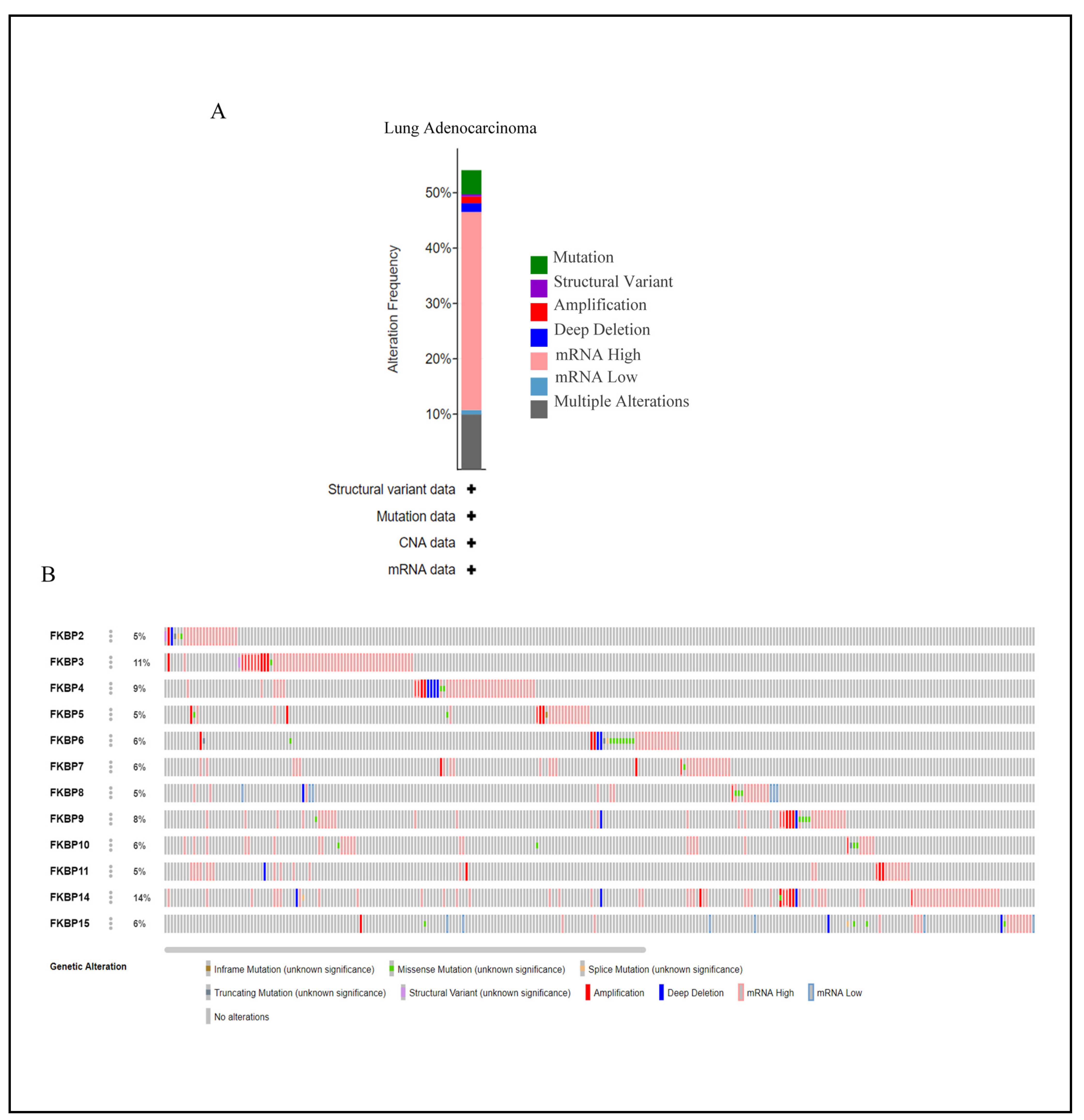 Jpm 13 00049 g004 Jpm 13 00049 g004