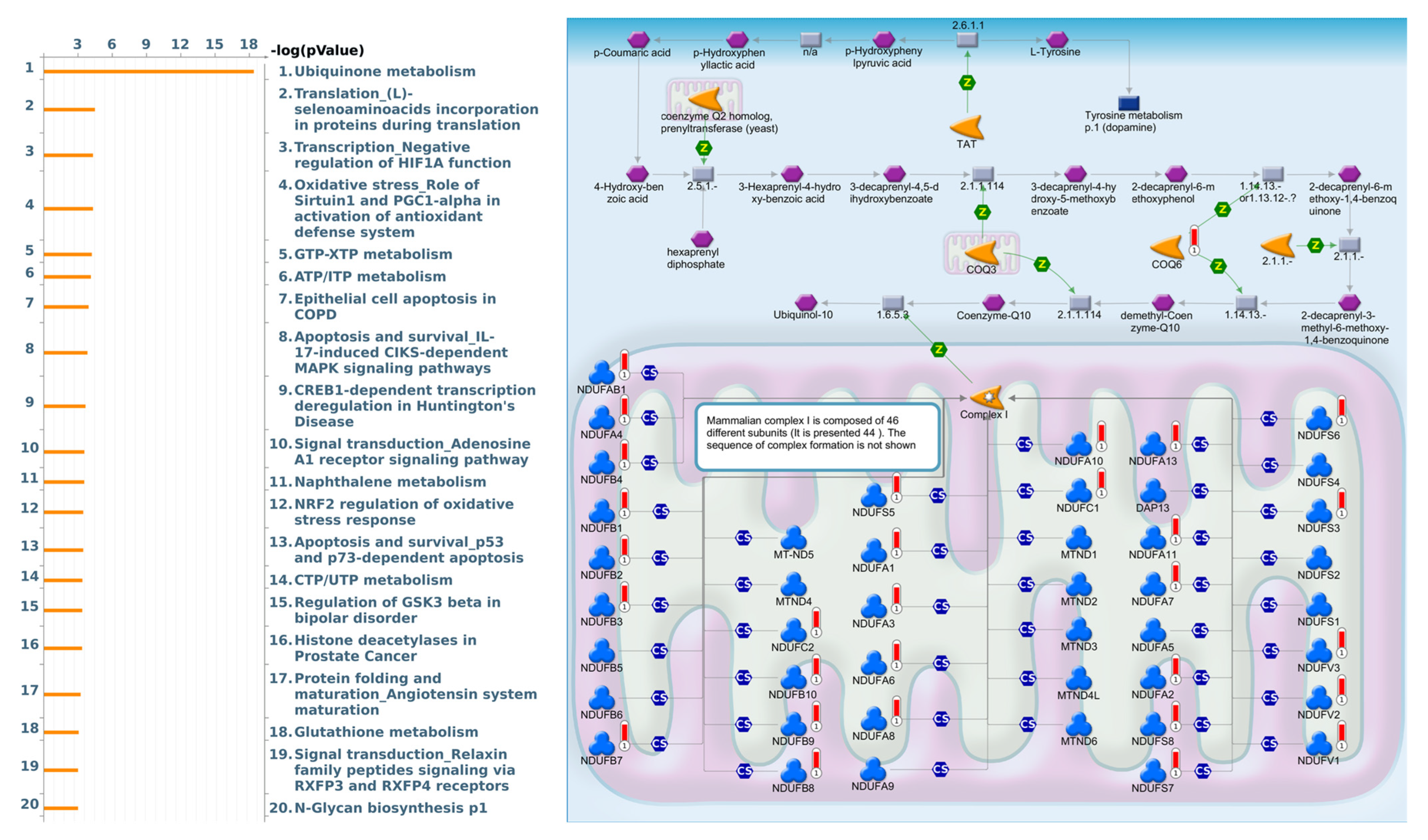 Jpm 13 00049 g005 Jpm 13 00049 g005