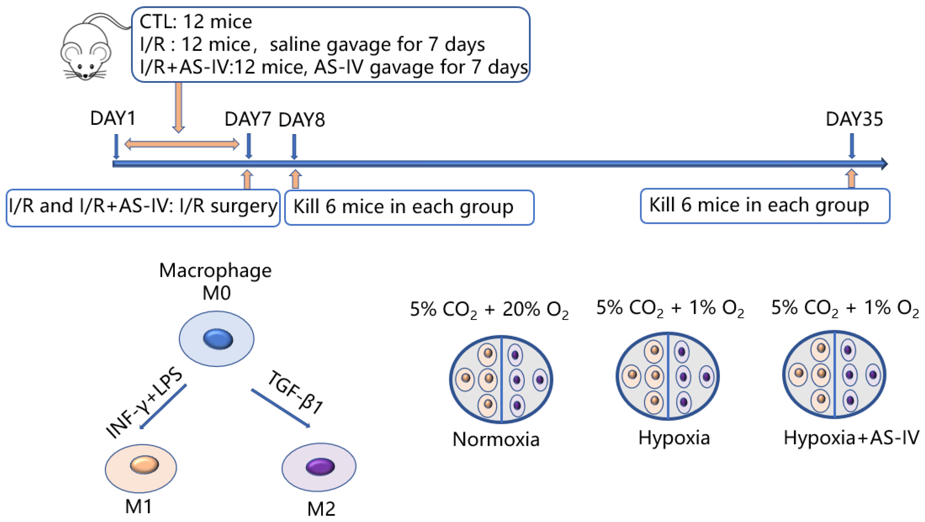 Jpm 13 00059 g001 Jpm 13 00059 g001