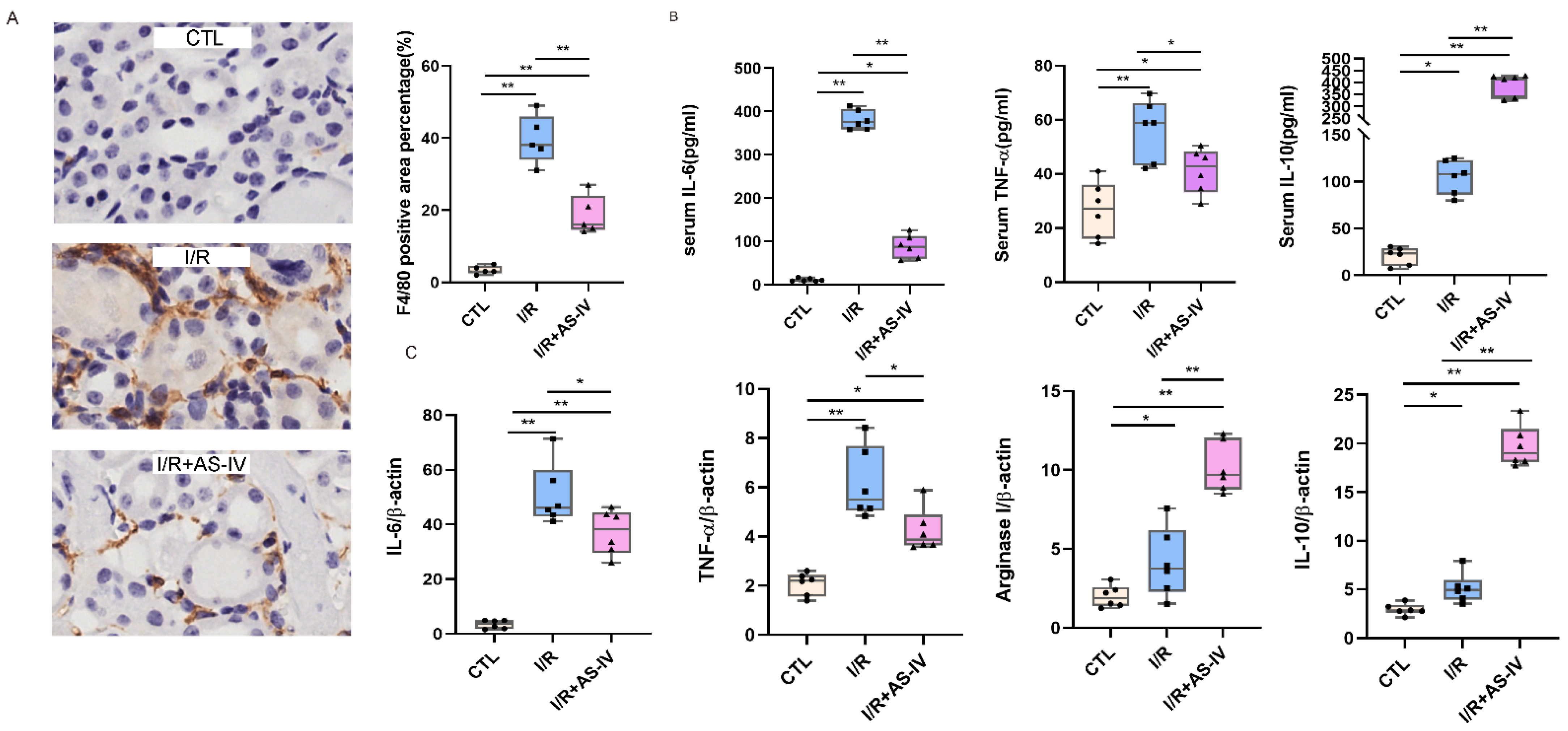 Jpm 13 00059 g003 Jpm 13 00059 g003