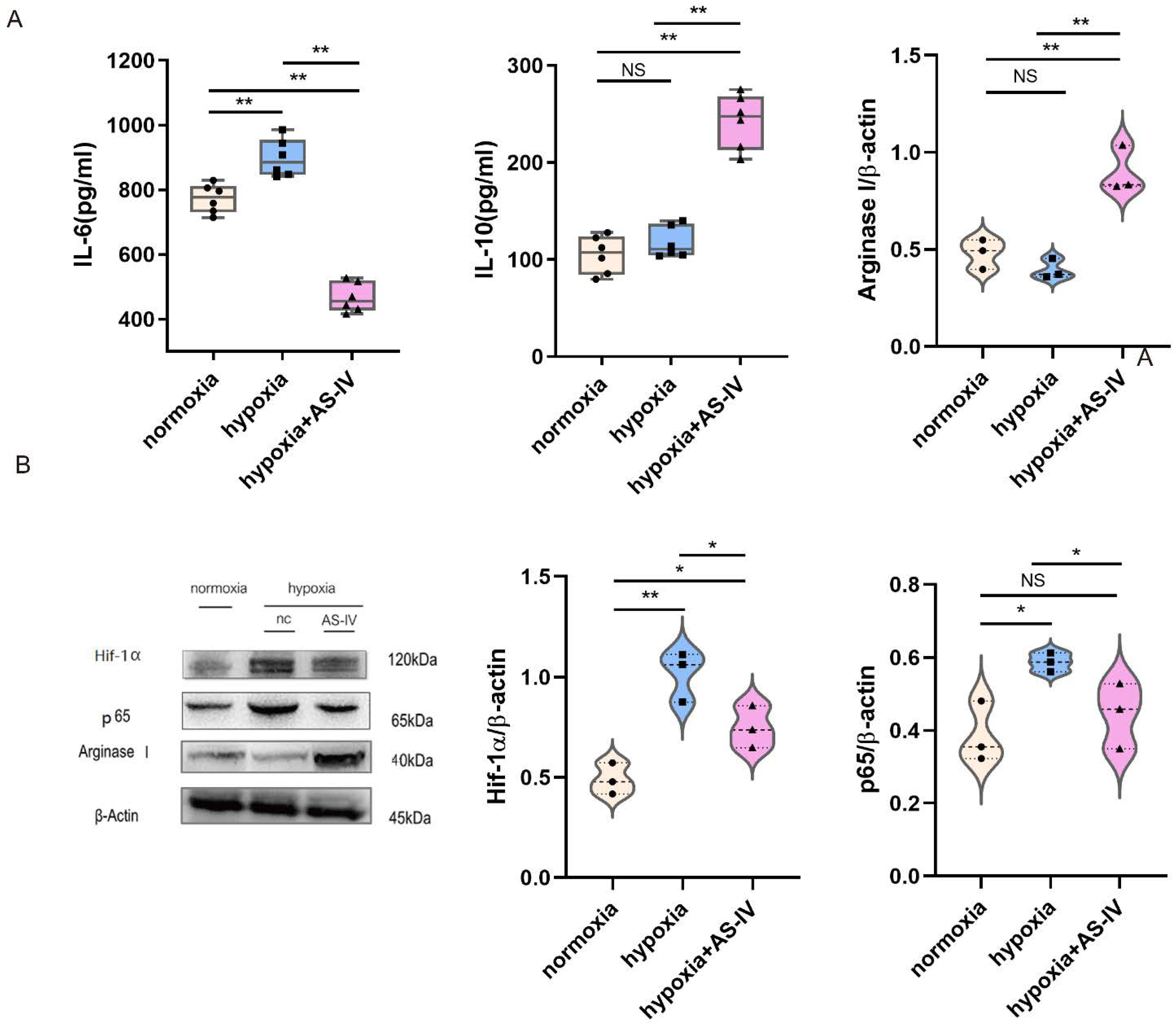 Jpm 13 00059 g004 Jpm 13 00059 g004