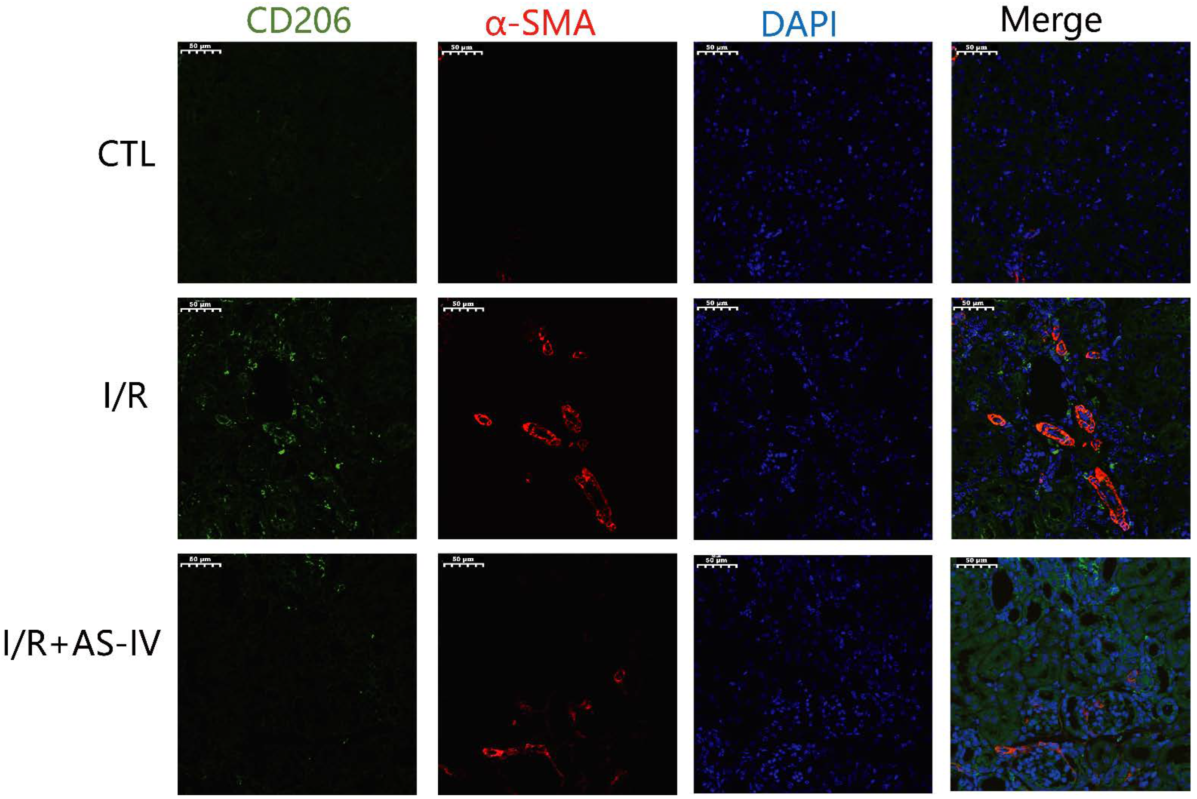 Jpm 13 00059 g007 Jpm 13 00059 g007