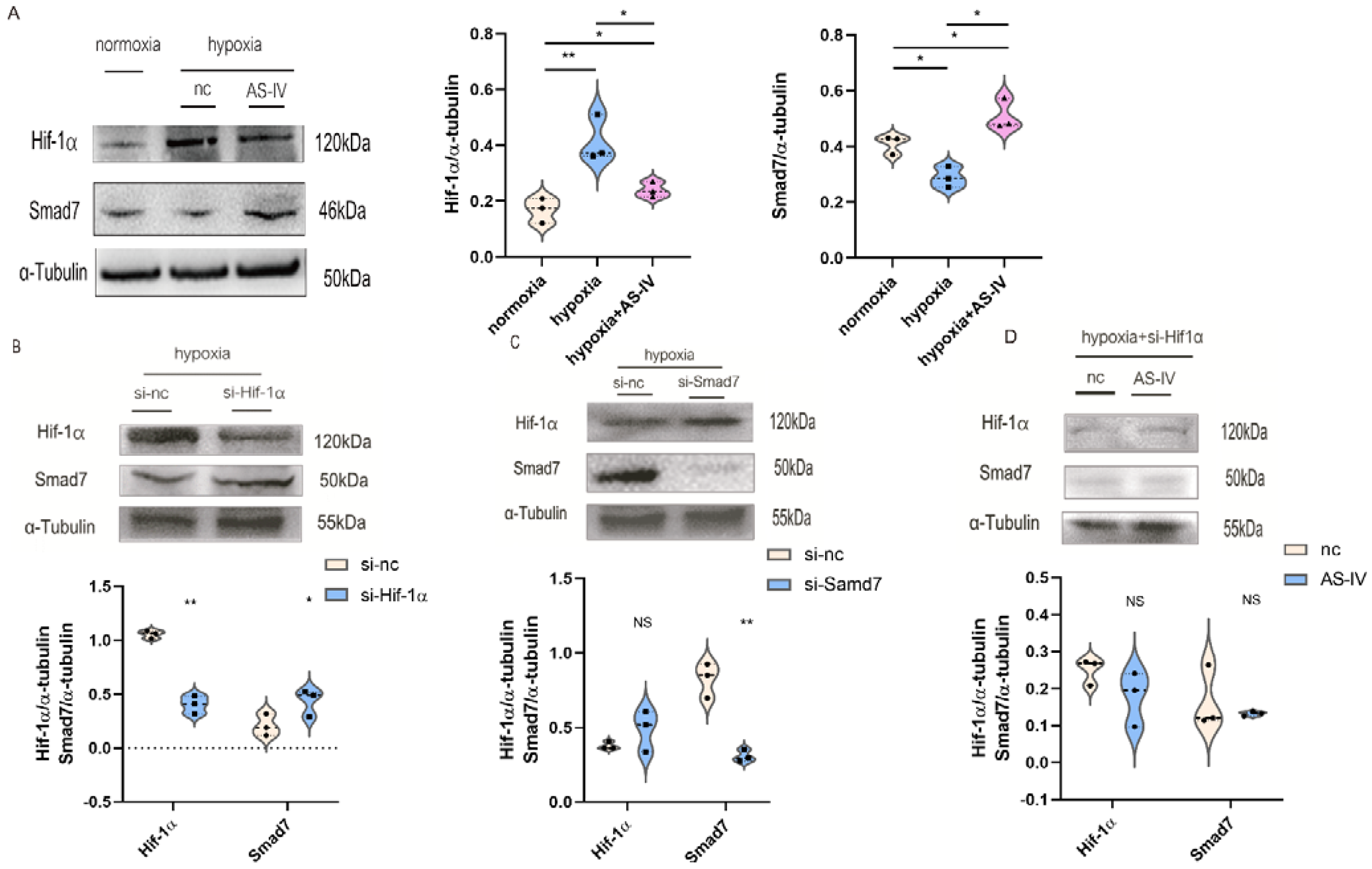Jpm 13 00059 g008 Jpm 13 00059 g008