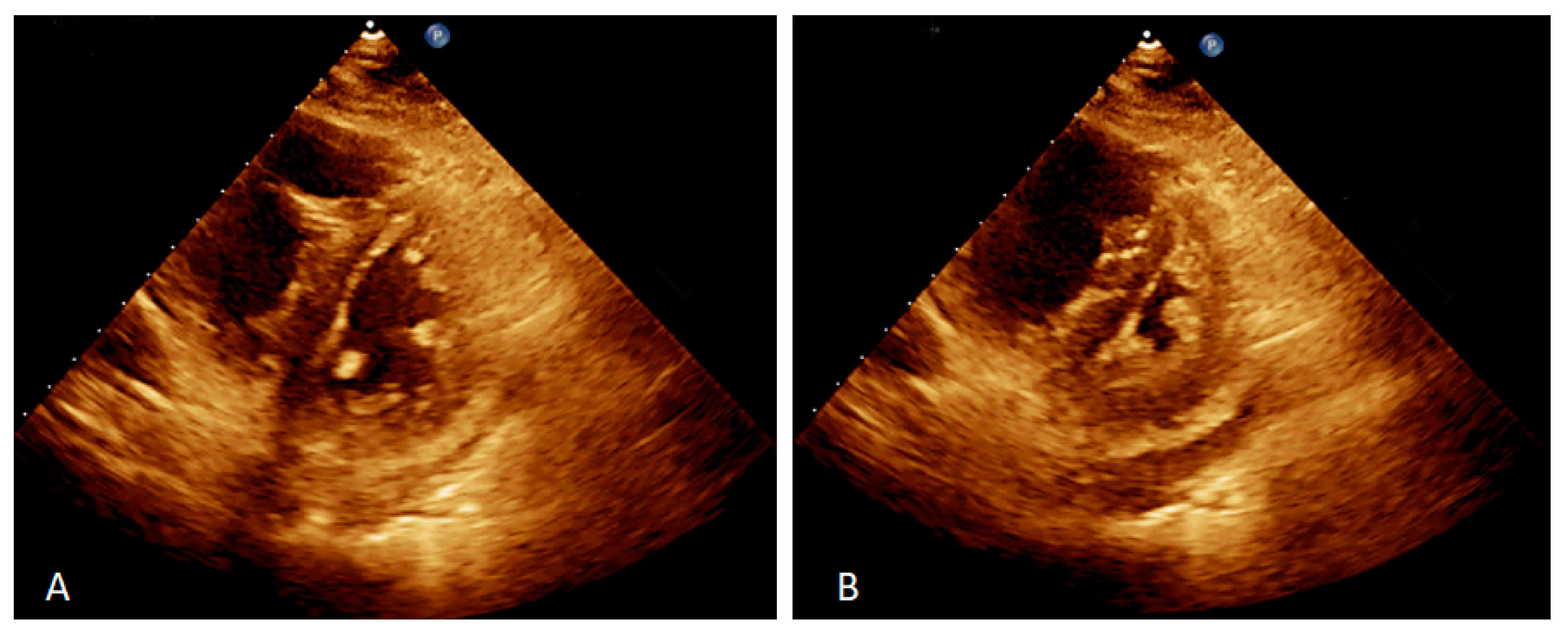 Jpm 13 00062 g004 Jpm 13 00062 g004