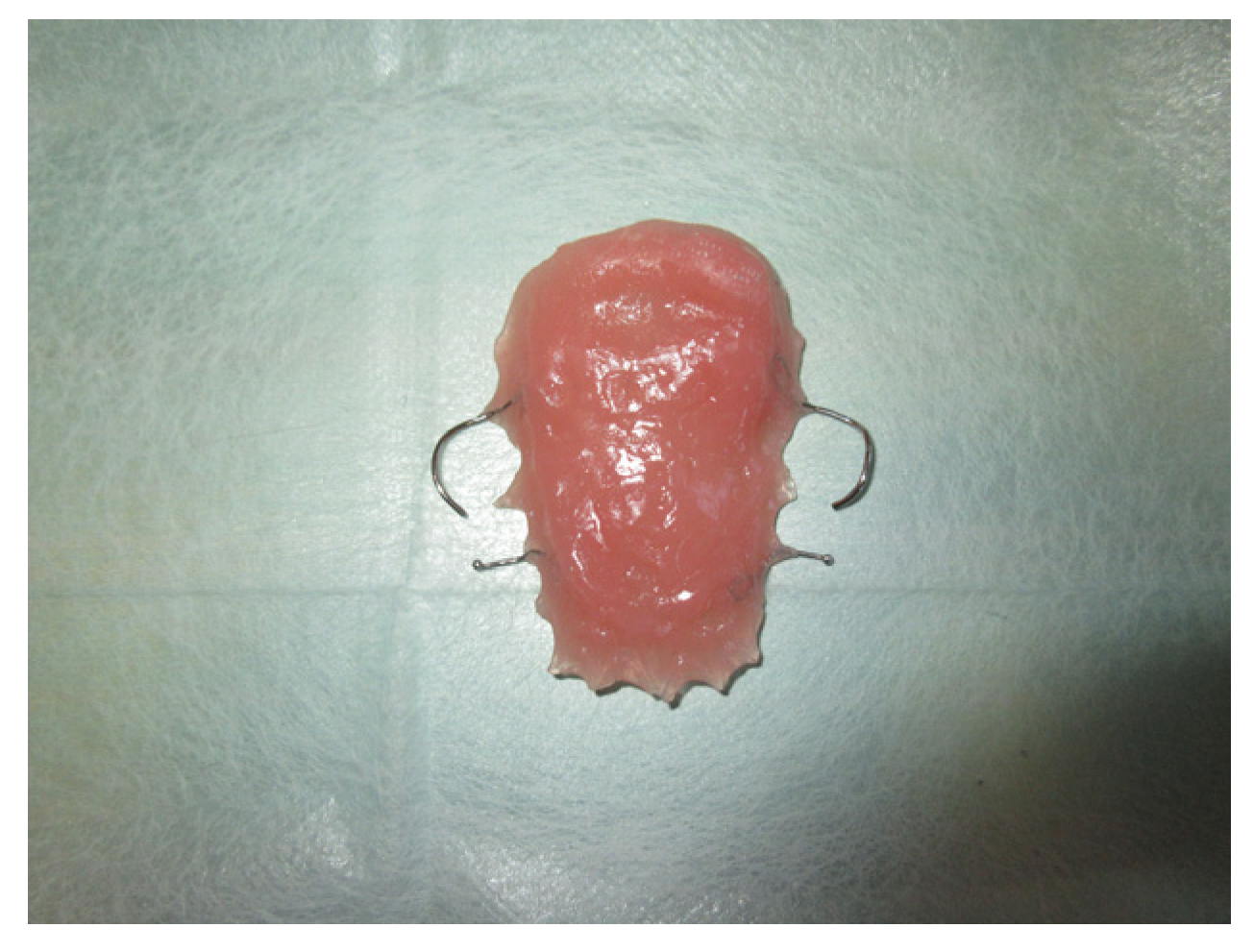 Jpm 13 00065 g011 Jpm 13 00065 g011