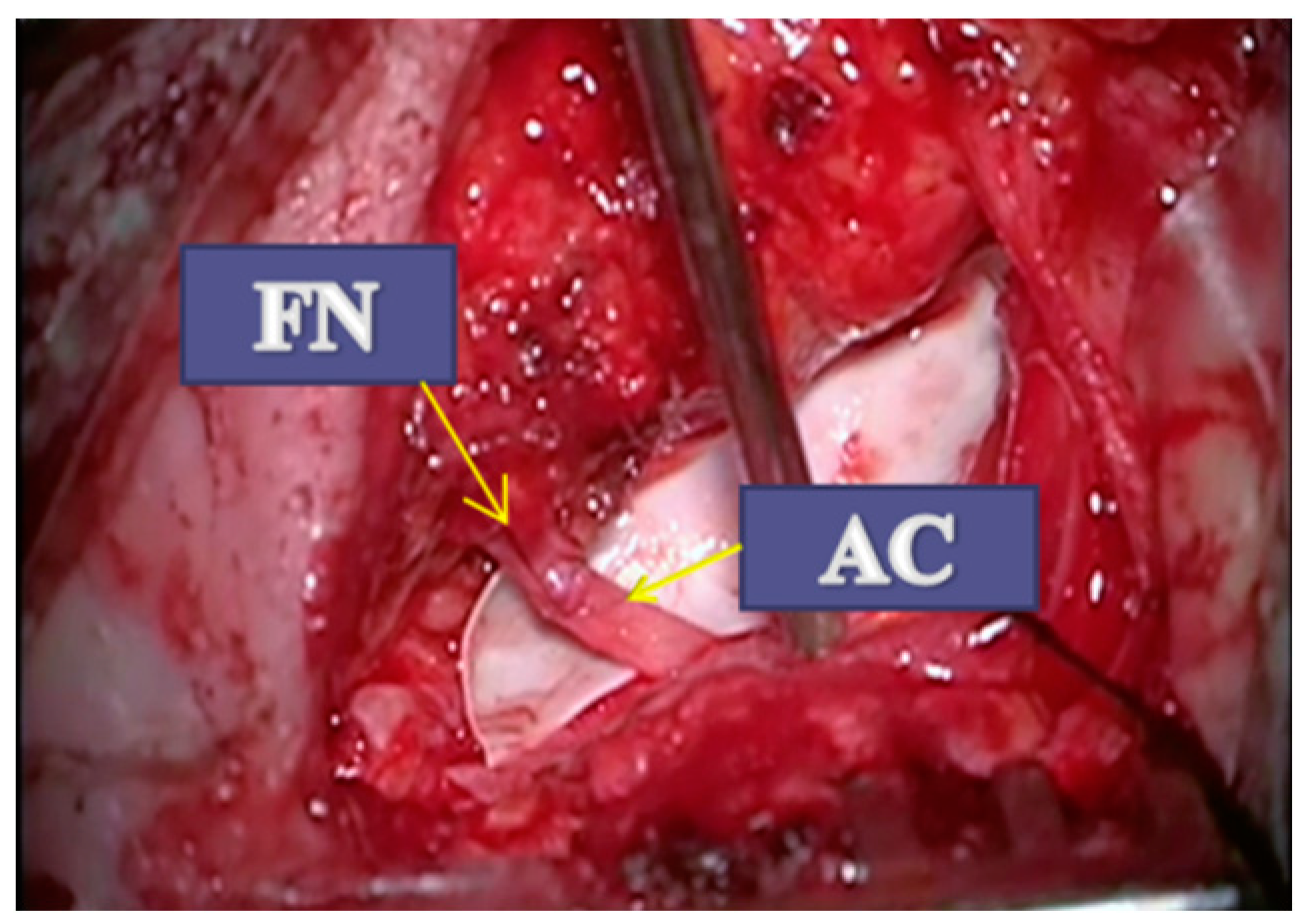 Jpm 13 00076 g008 Jpm 13 00076 g008