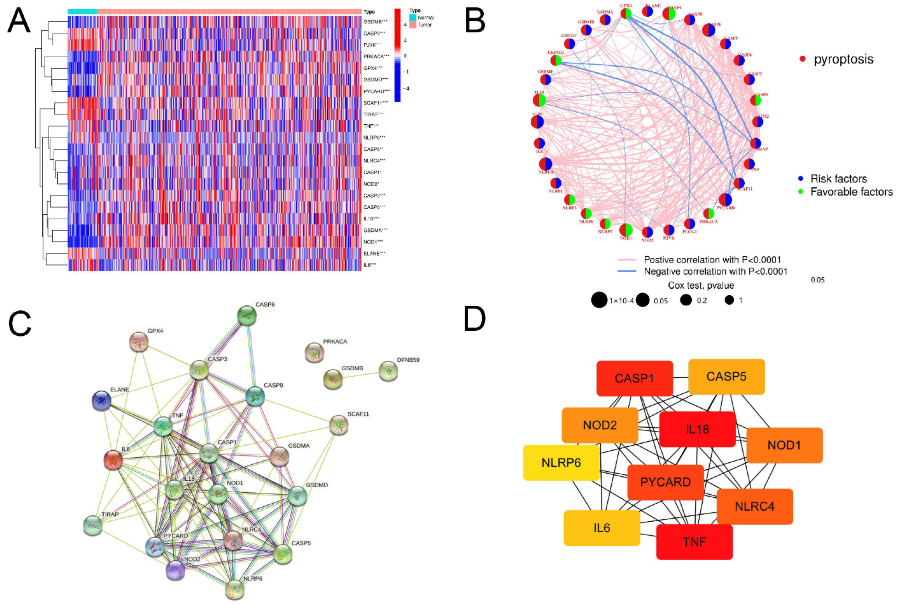 Jpm 13 00085 g001 Jpm 13 00085 g001
