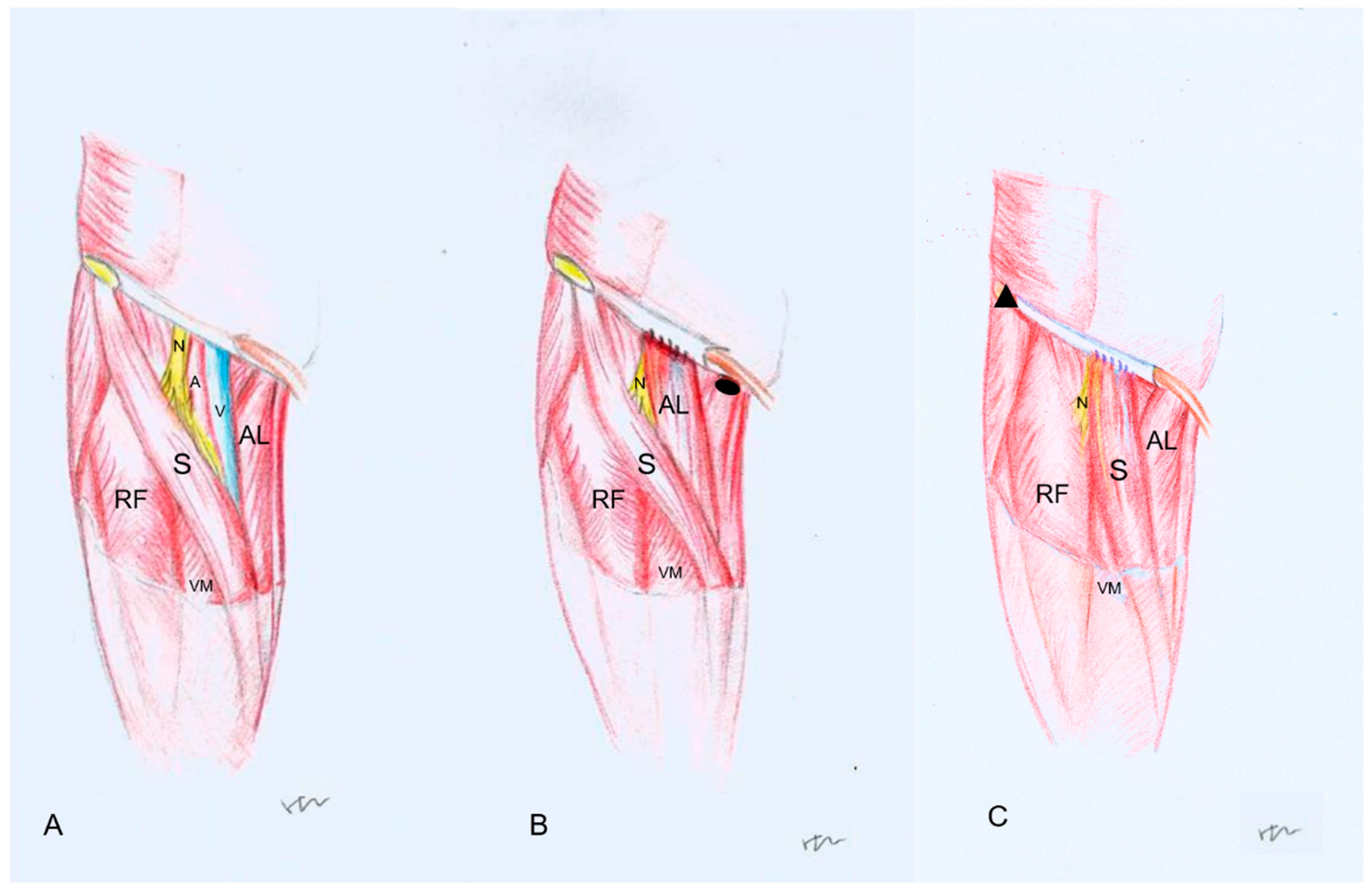 Jpm 13 00143 g002 Jpm 13 00143 g002