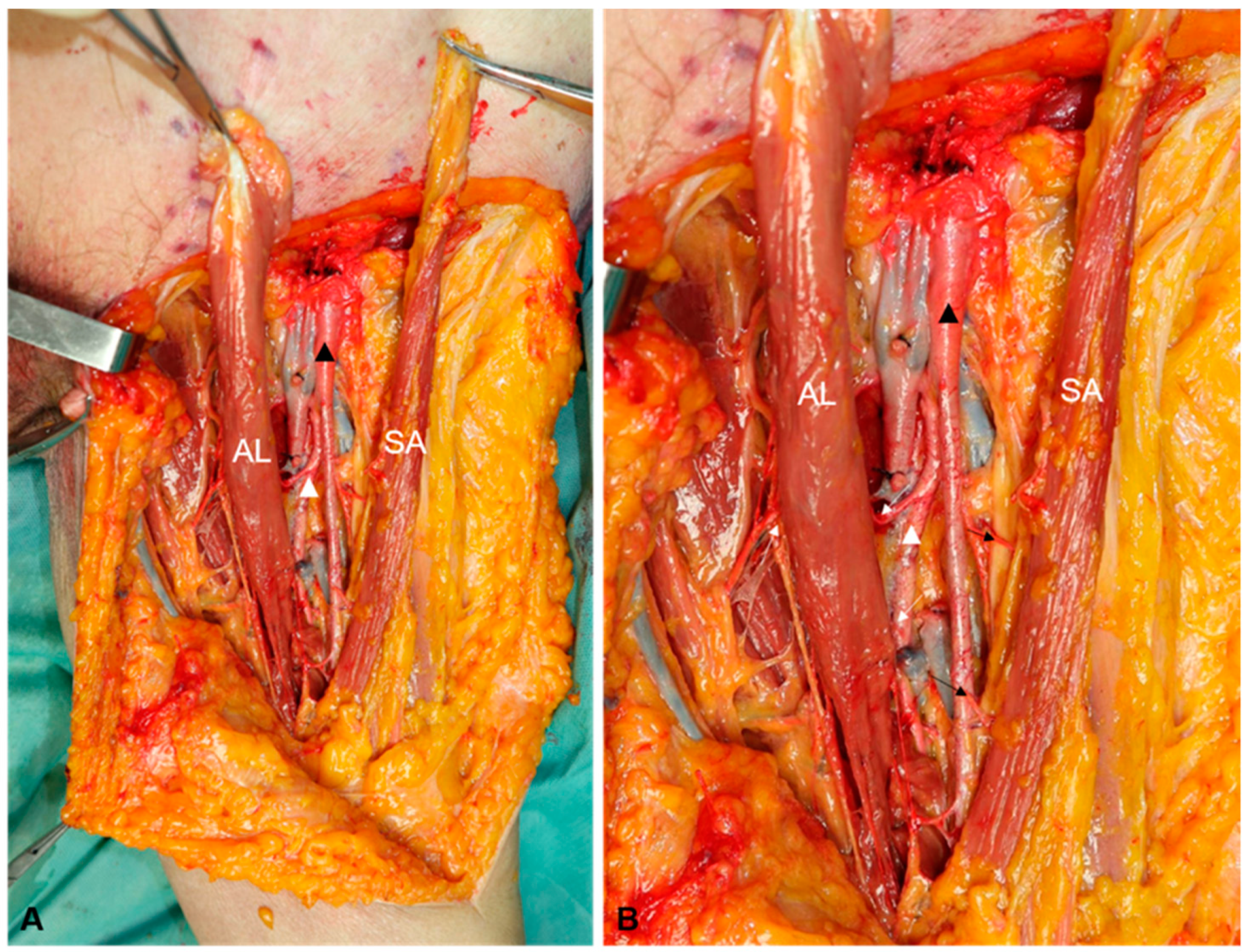 Jpm 13 00143 g003 Jpm 13 00143 g003