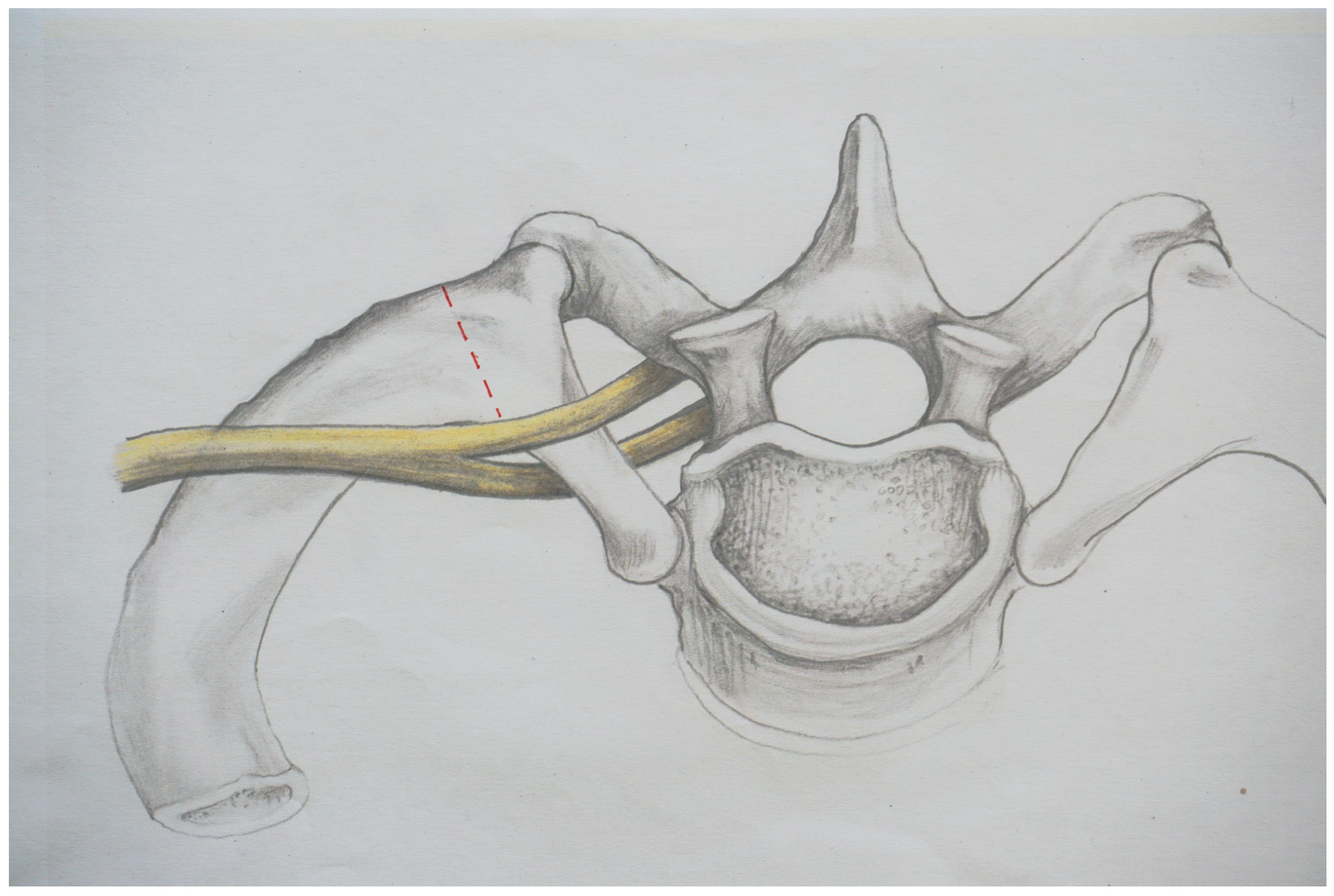Jpm 13 00144 g001 Jpm 13 00144 g001