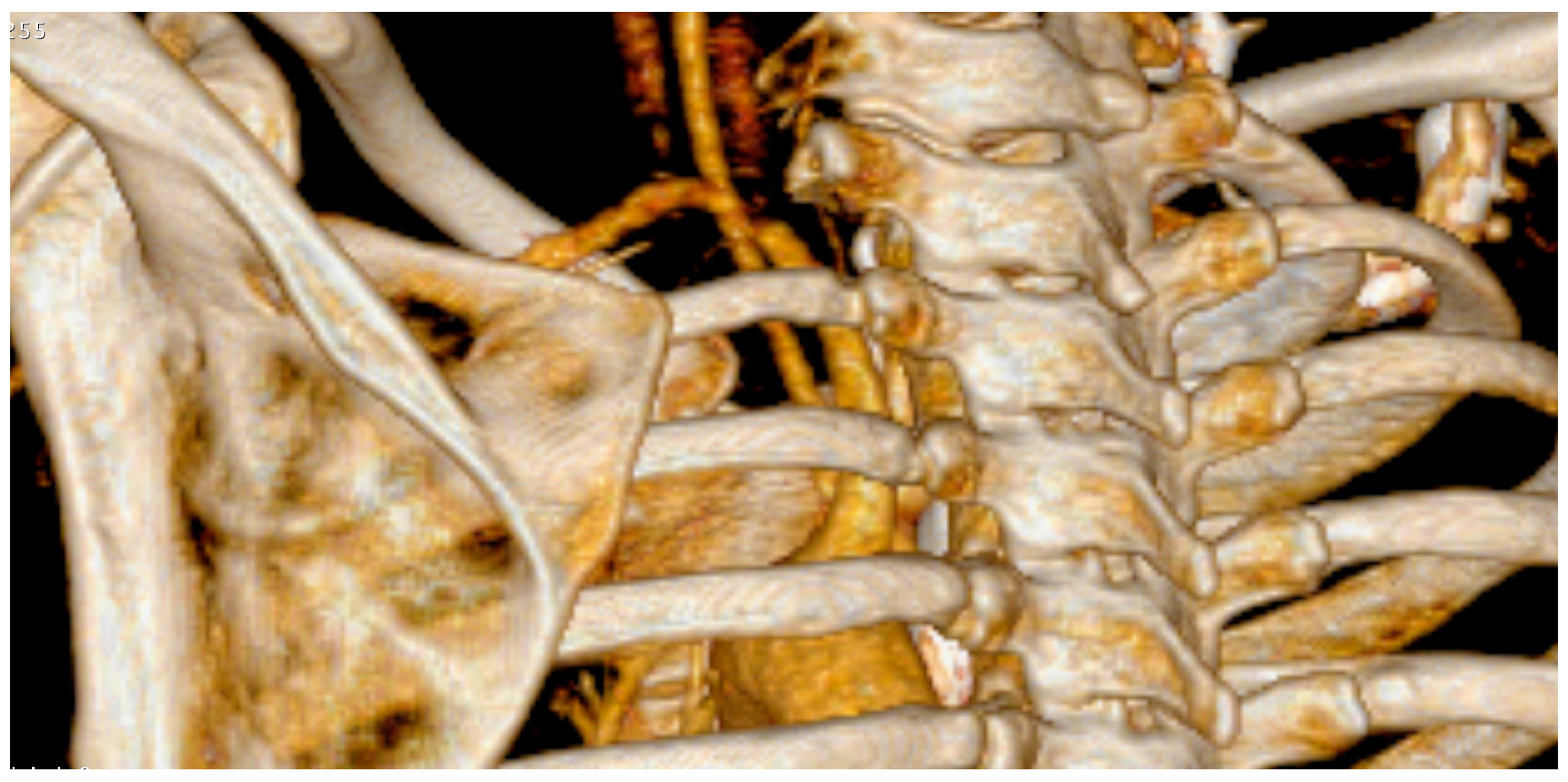 Jpm 13 00144 g004 Jpm 13 00144 g004