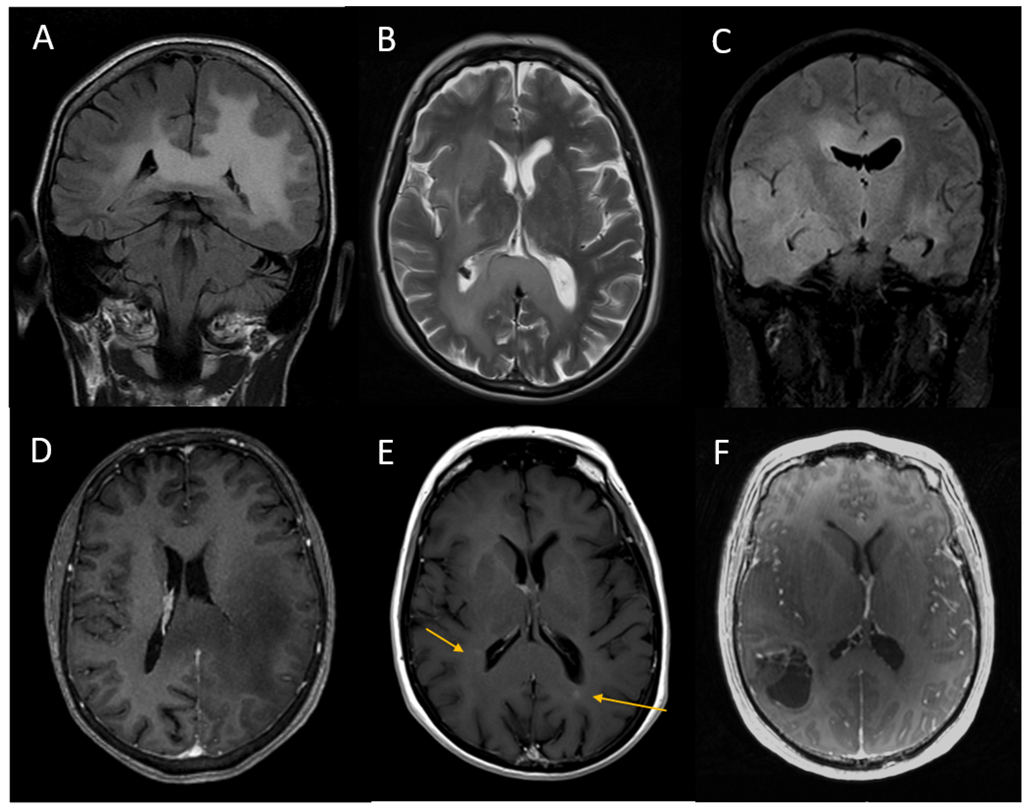 Jpm 13 00222 g001 Jpm 13 00222 g001