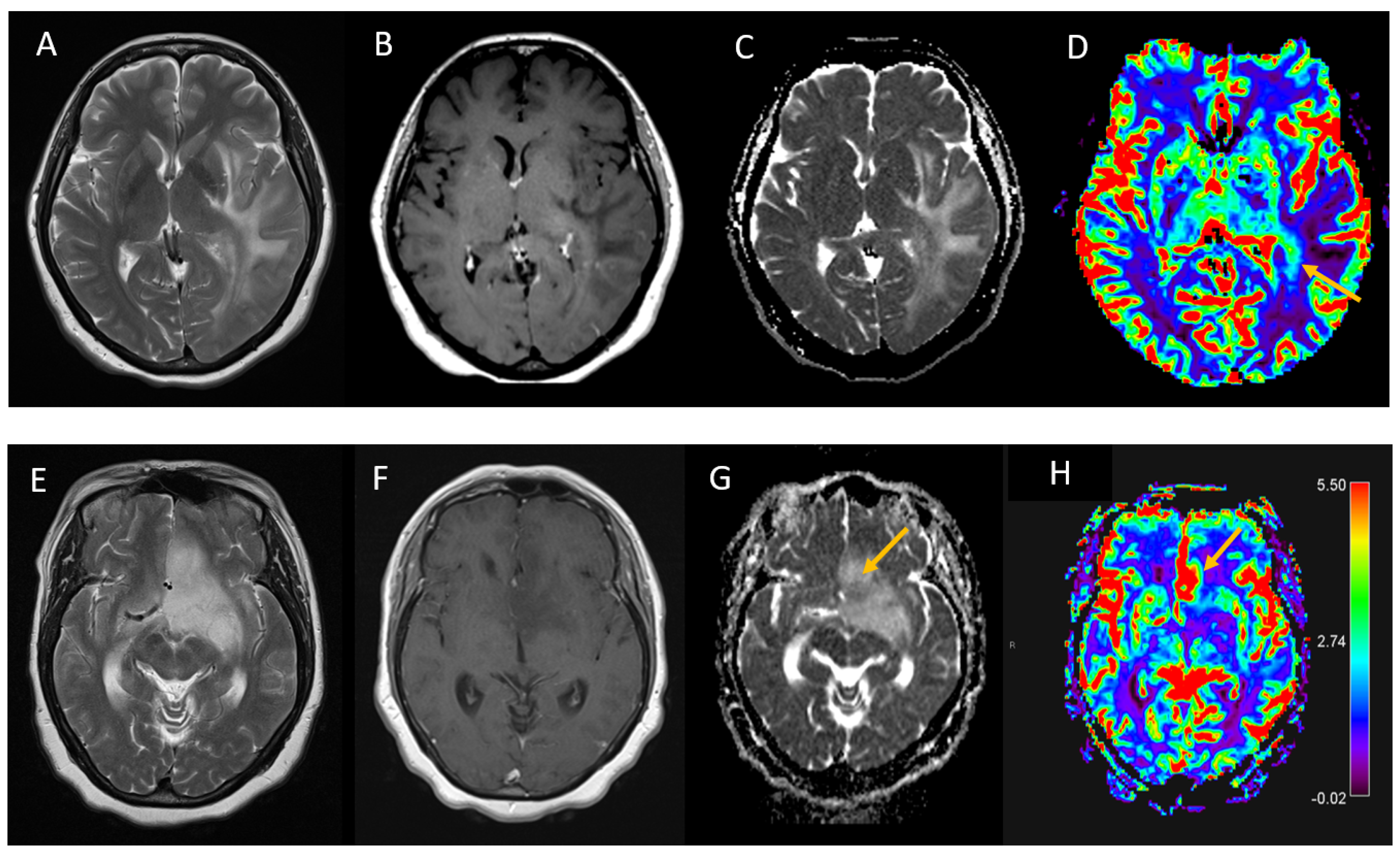 Jpm 13 00222 g002 Jpm 13 00222 g002