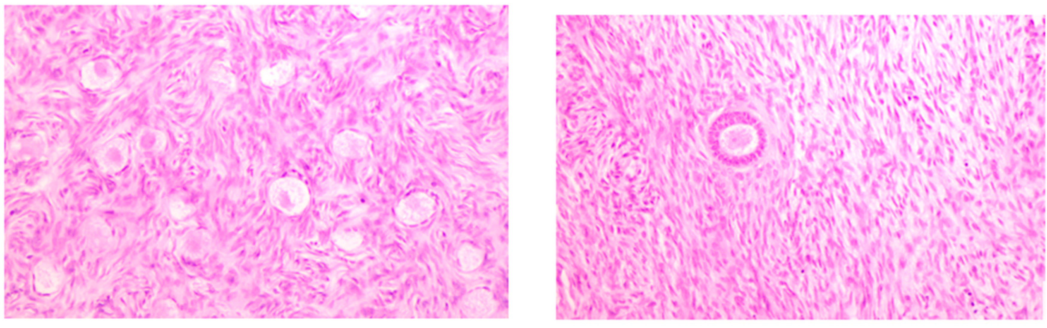 Jpm 13 00232 g002 Jpm 13 00232 g002