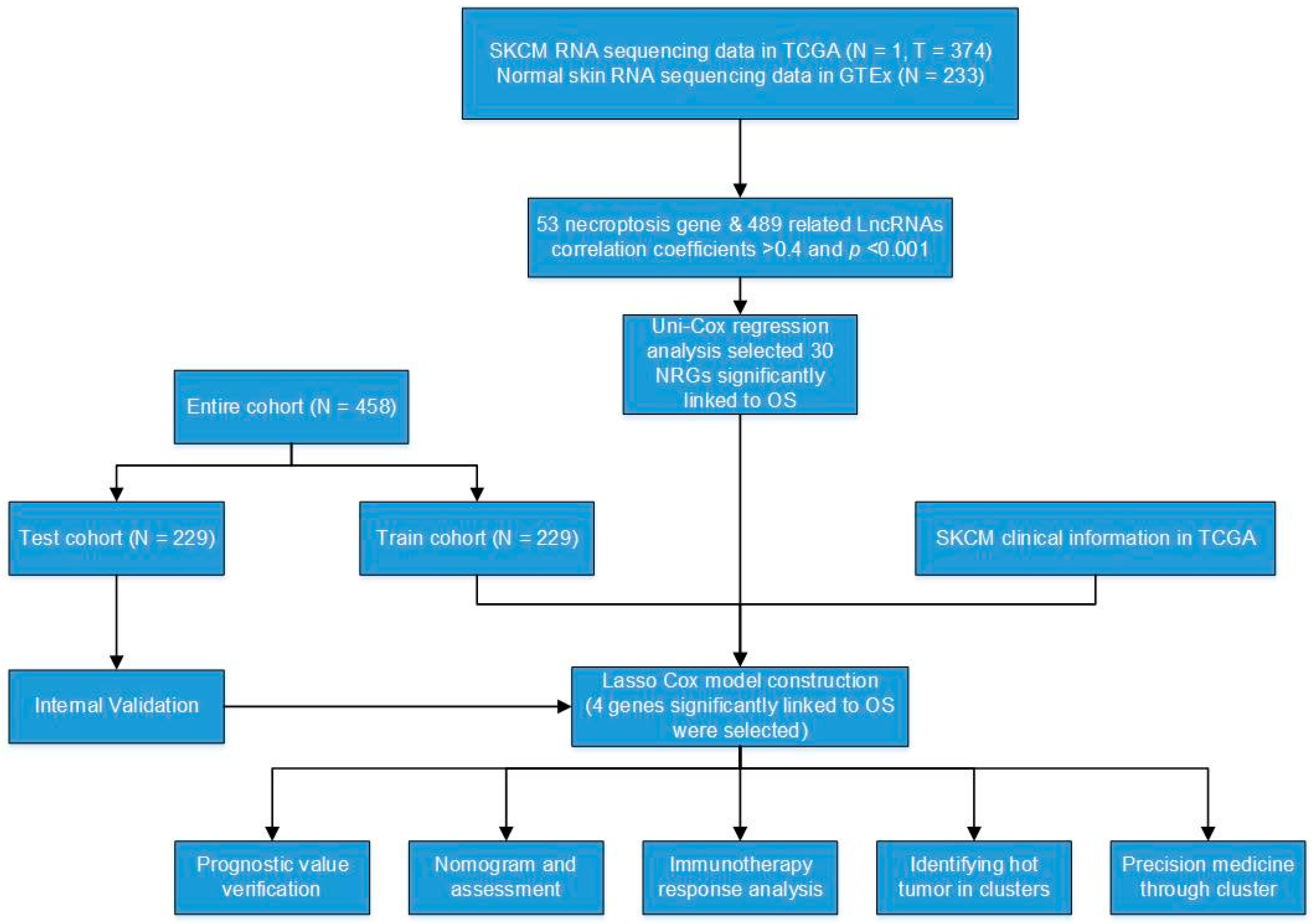 Jpm 13 00245 g001 Jpm 13 00245 g001