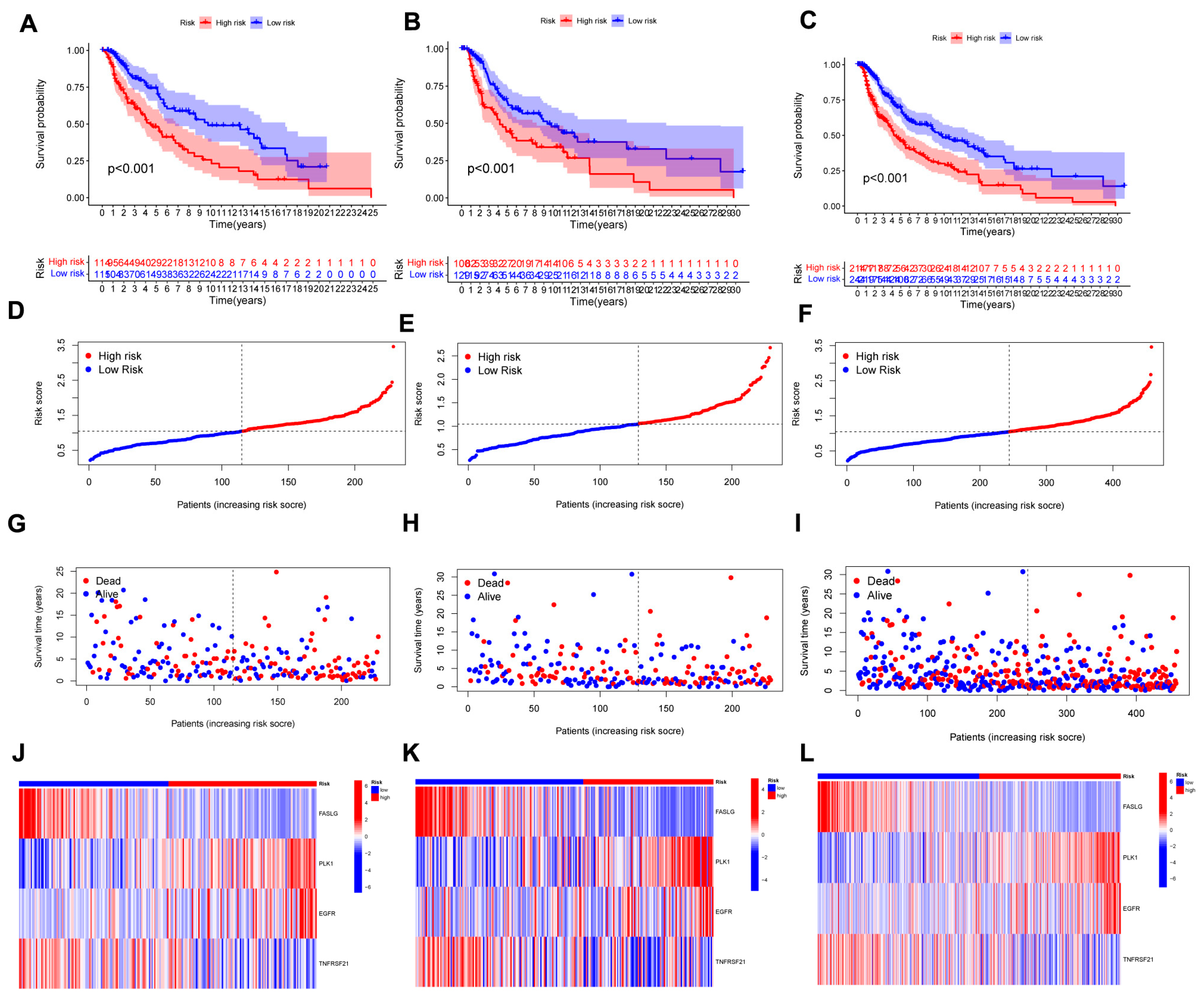 Jpm 13 00245 g004 Jpm 13 00245 g004