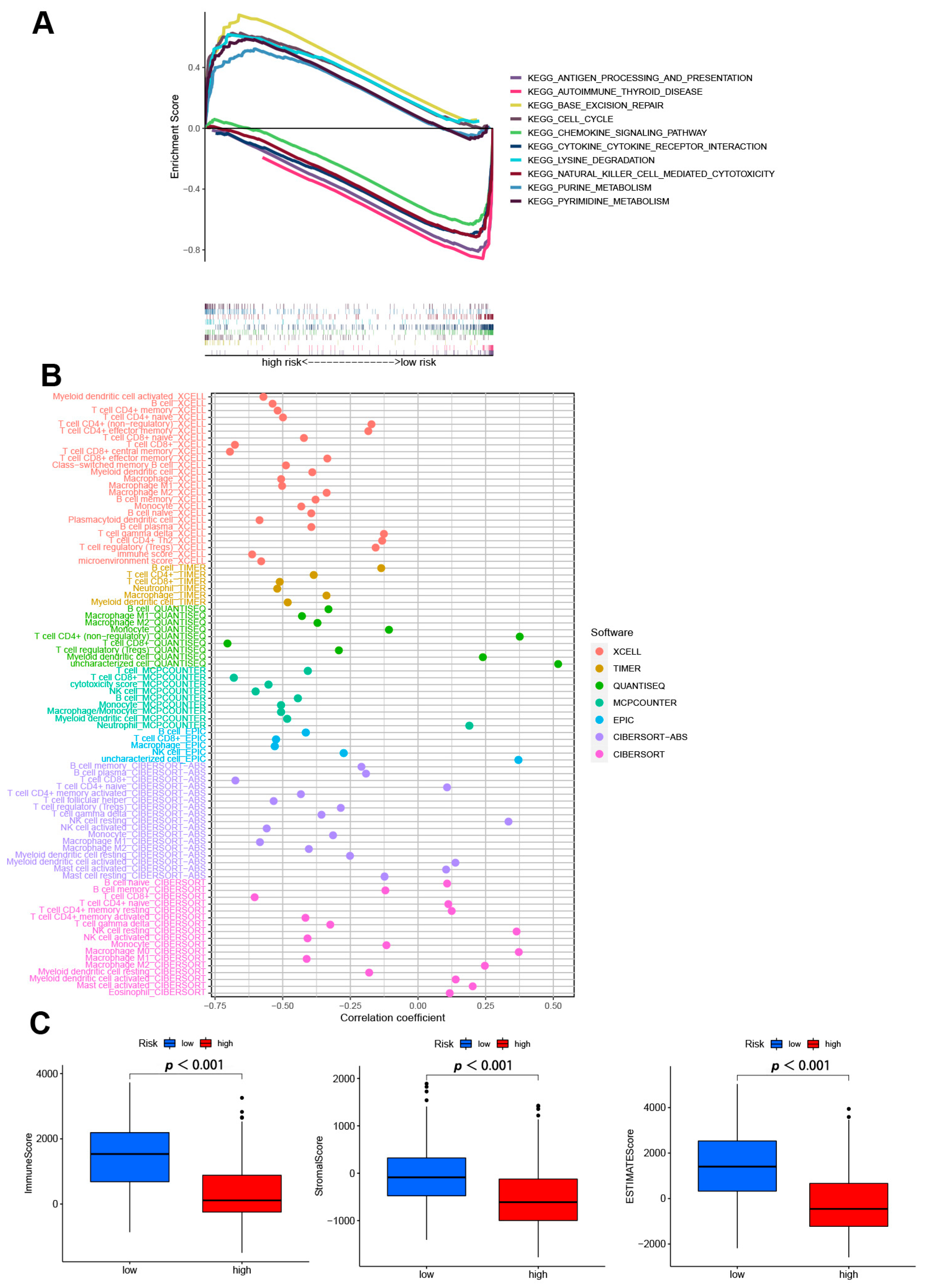 Jpm 13 00245 g006 Jpm 13 00245 g006