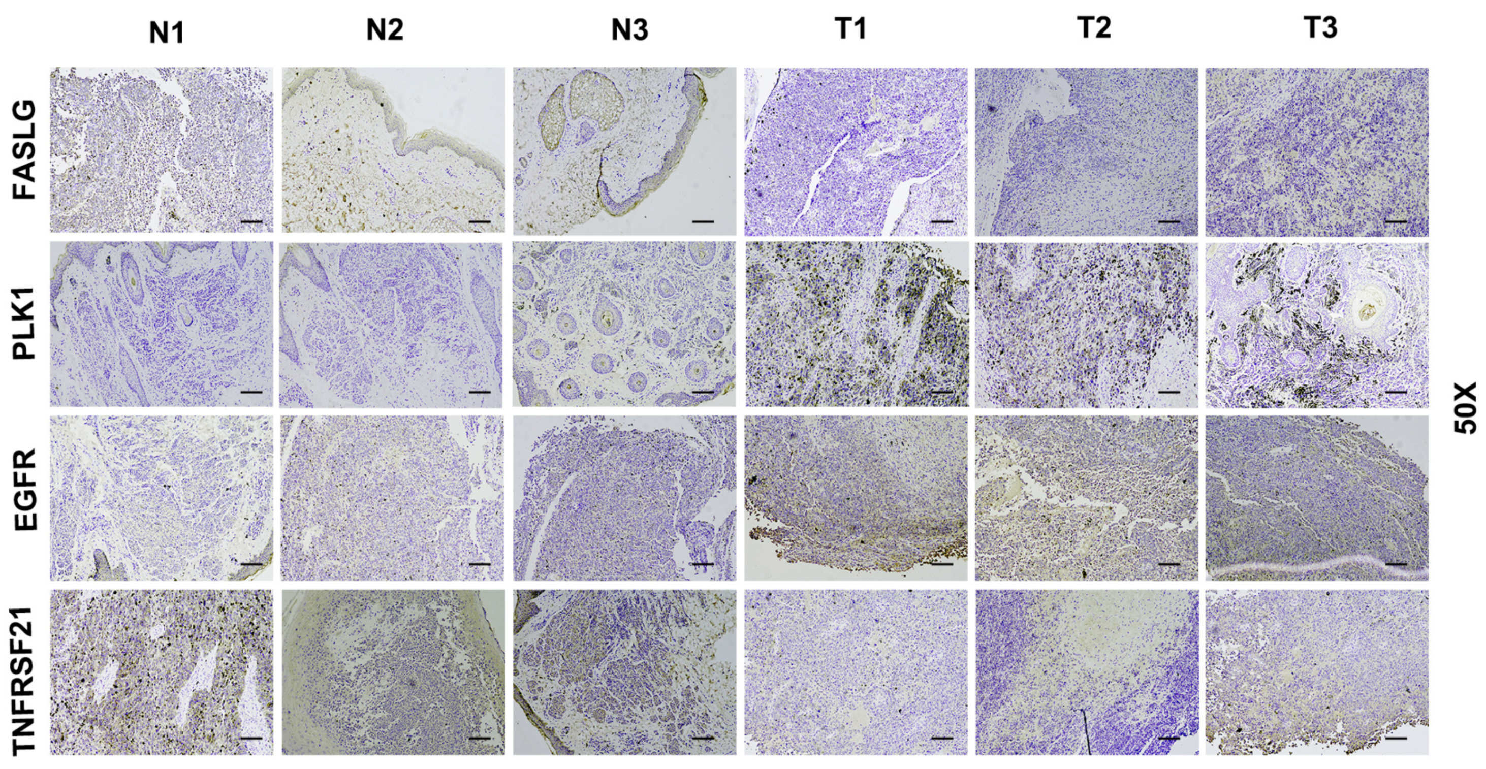 Jpm 13 00245 g008 Jpm 13 00245 g008