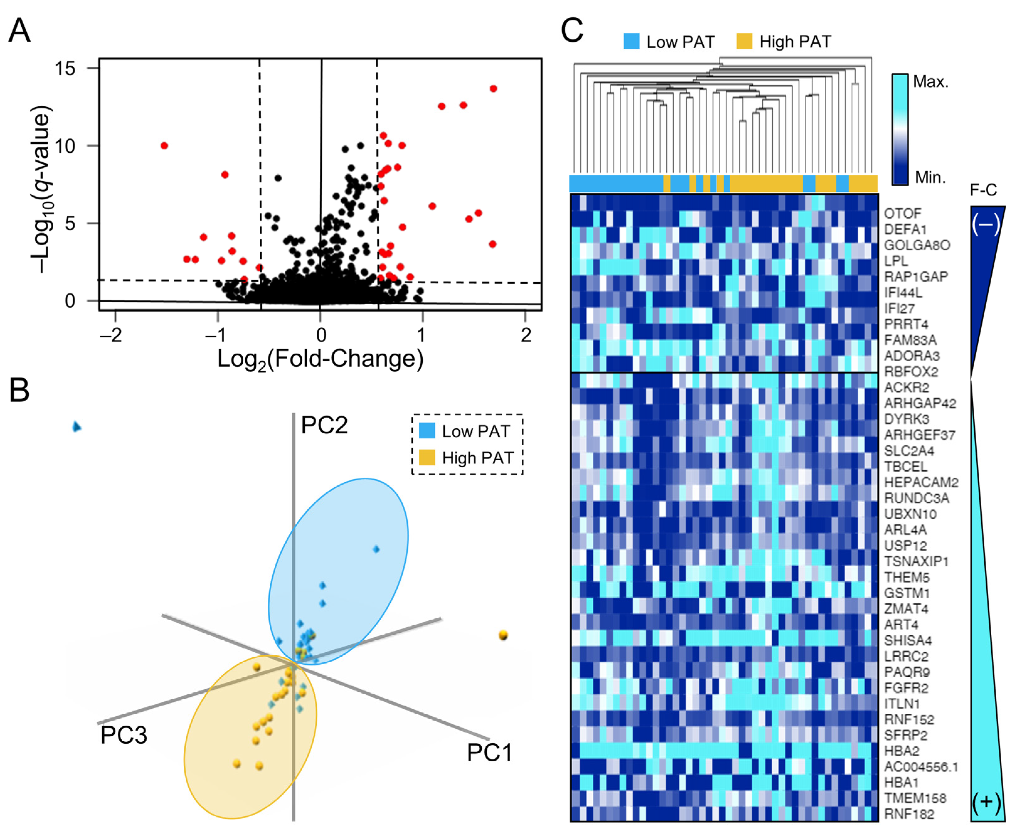 Jpm 13 00266 g001 Jpm 13 00266 g001