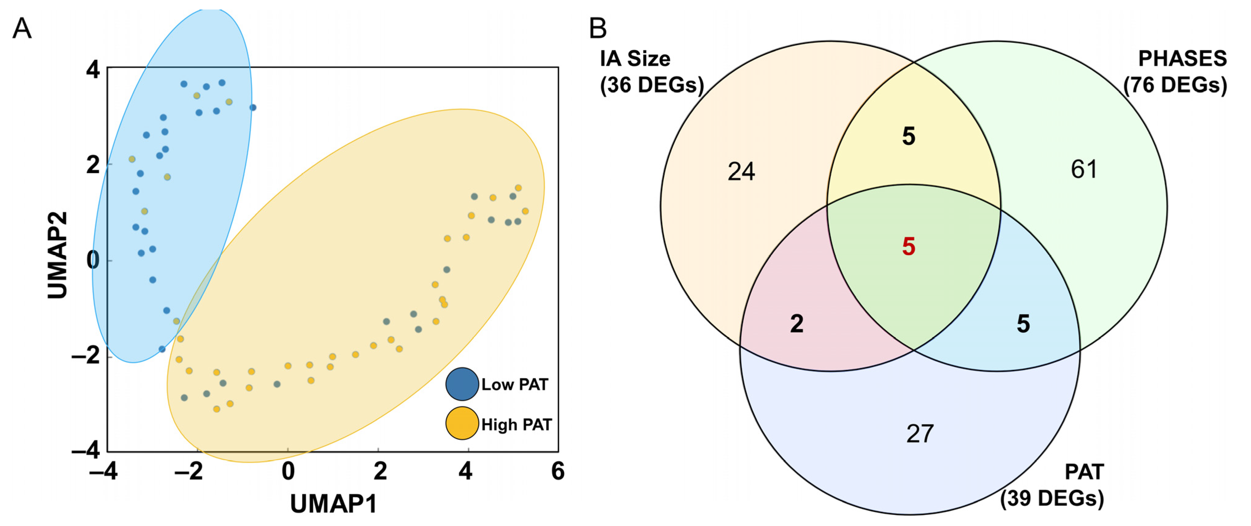 Jpm 13 00266 g004 Jpm 13 00266 g004