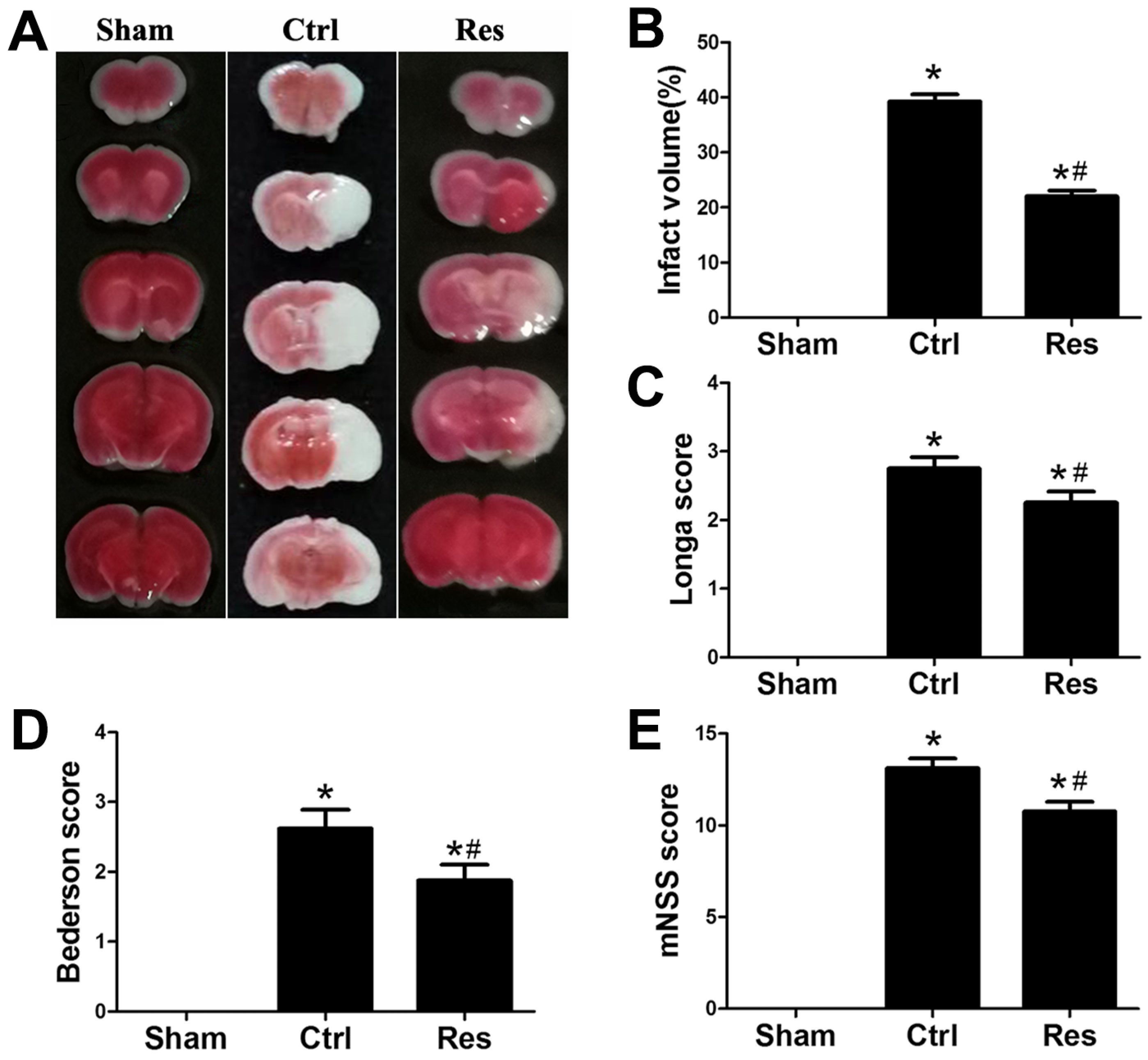 Jpm 13 00268 g001 Jpm 13 00268 g001