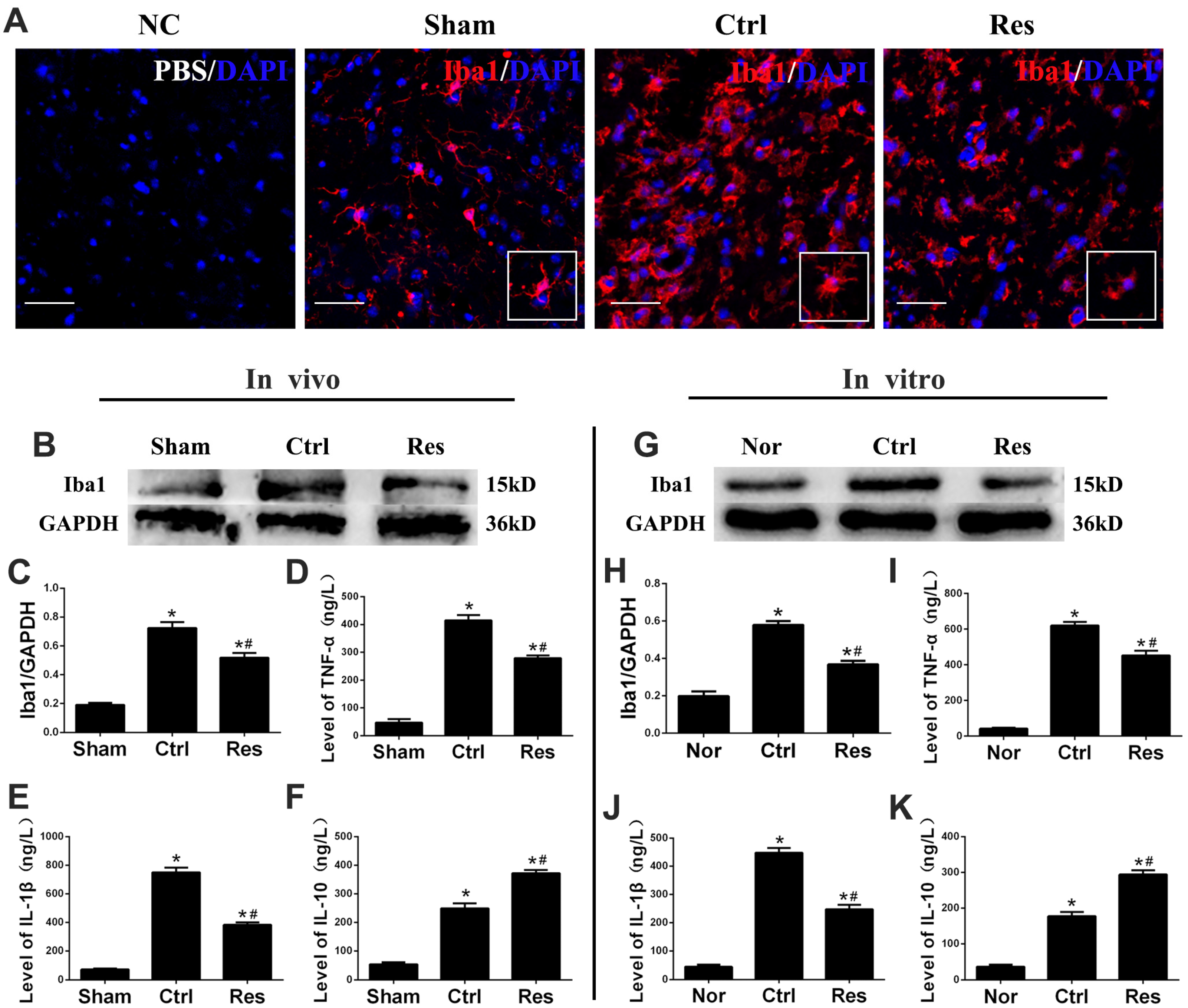 Jpm 13 00268 g002 Jpm 13 00268 g002