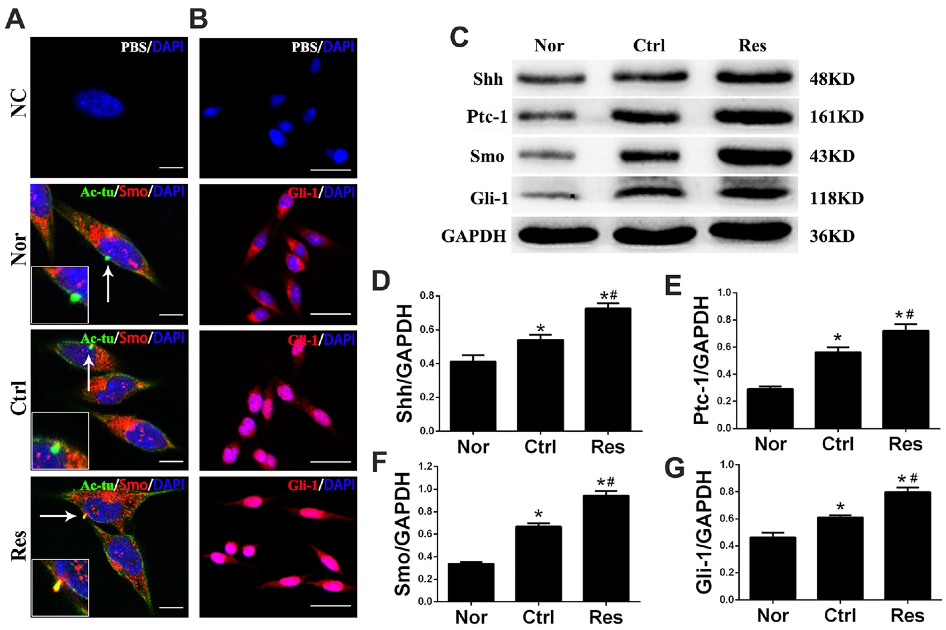 Jpm 13 00268 g003 Jpm 13 00268 g003