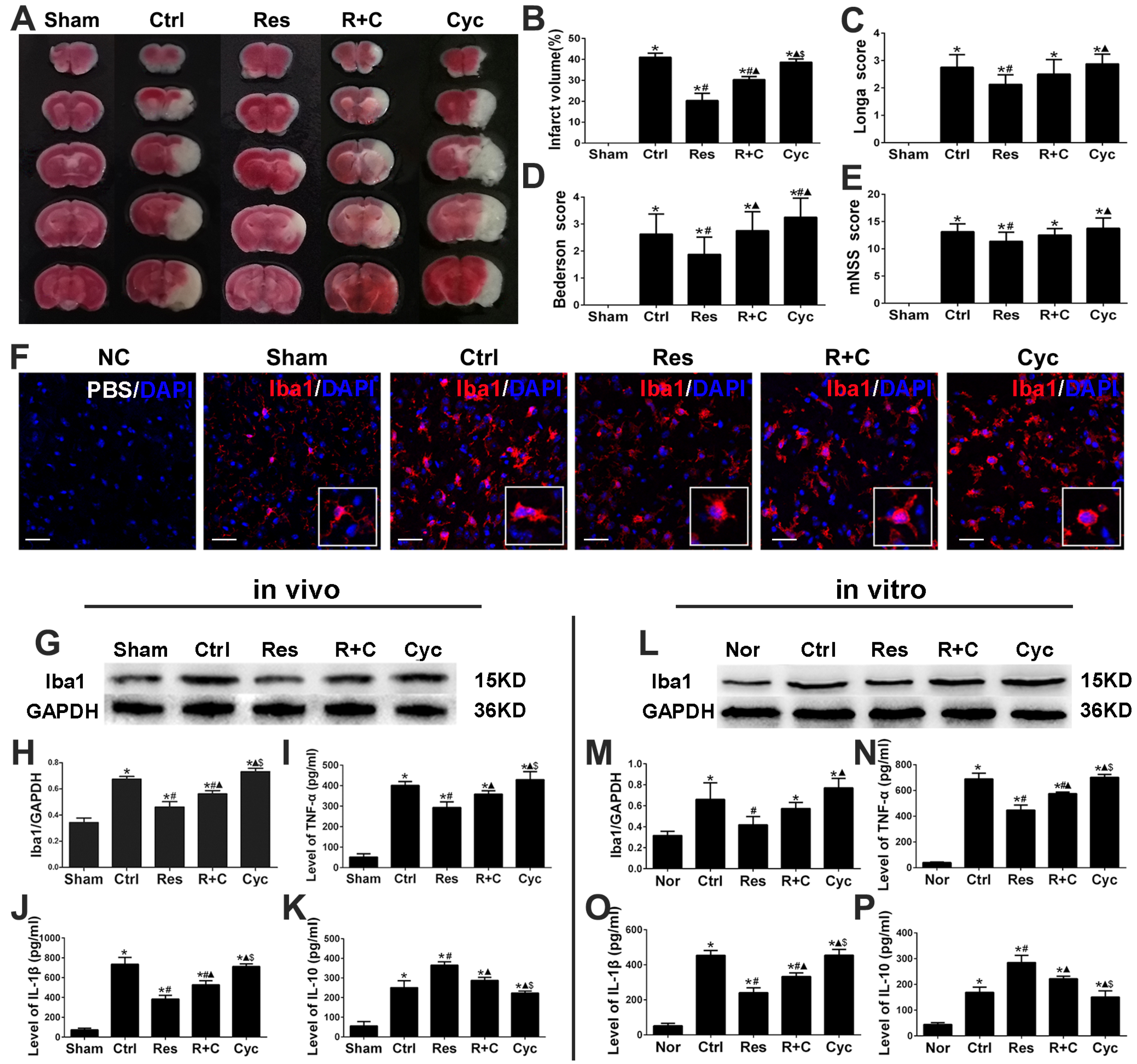 Jpm 13 00268 g004 Jpm 13 00268 g004