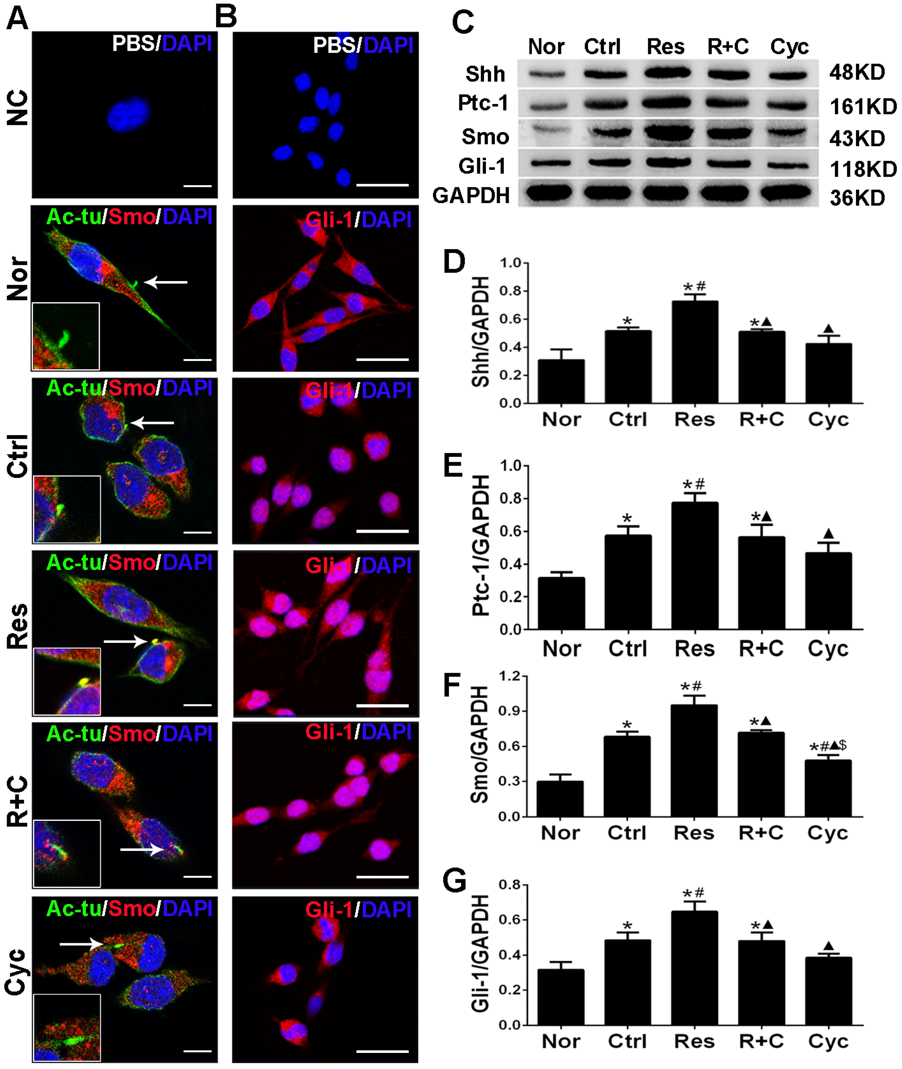 Jpm 13 00268 g005 Jpm 13 00268 g005