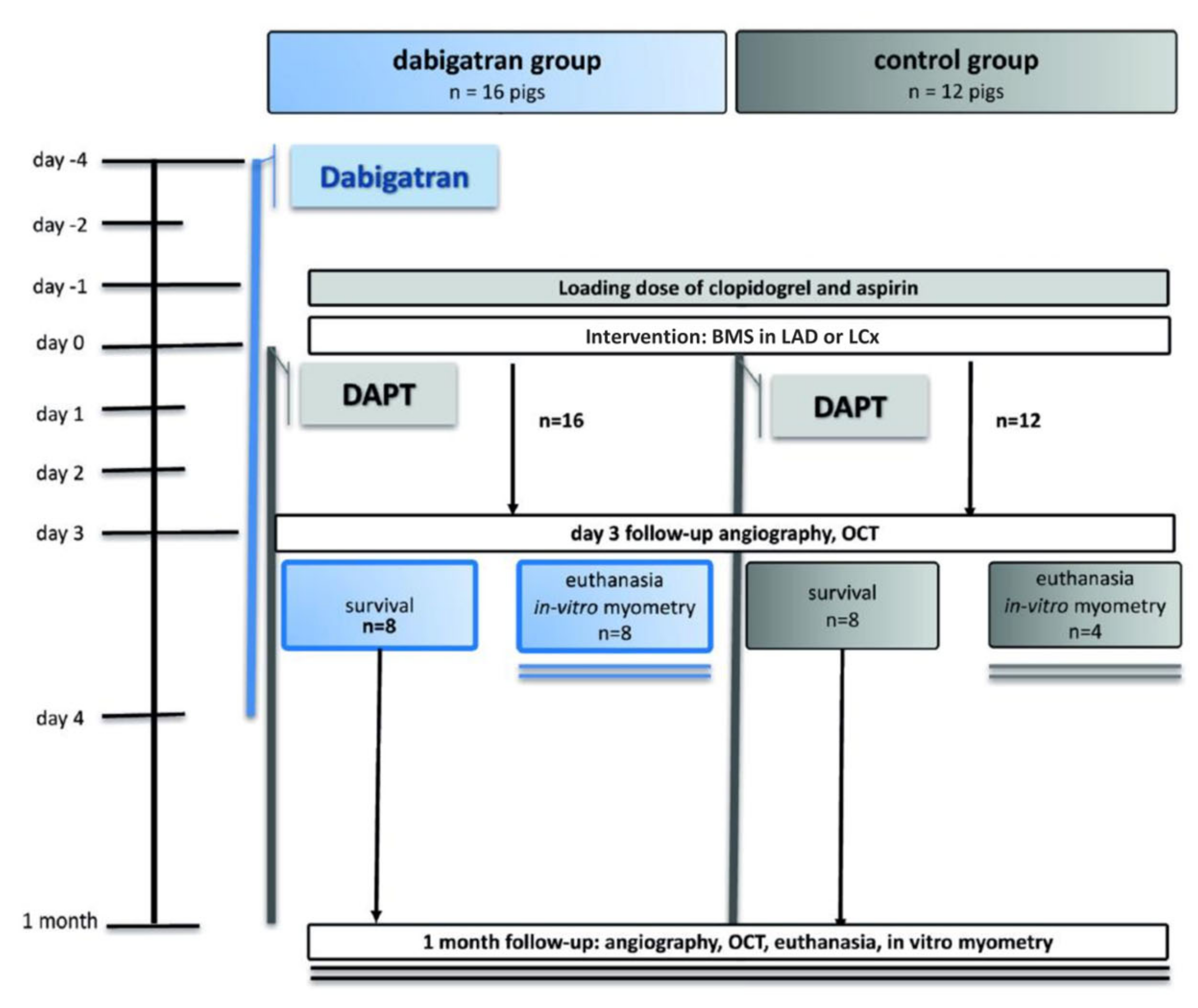 Jpm 13 00280 g001 Jpm 13 00280 g001