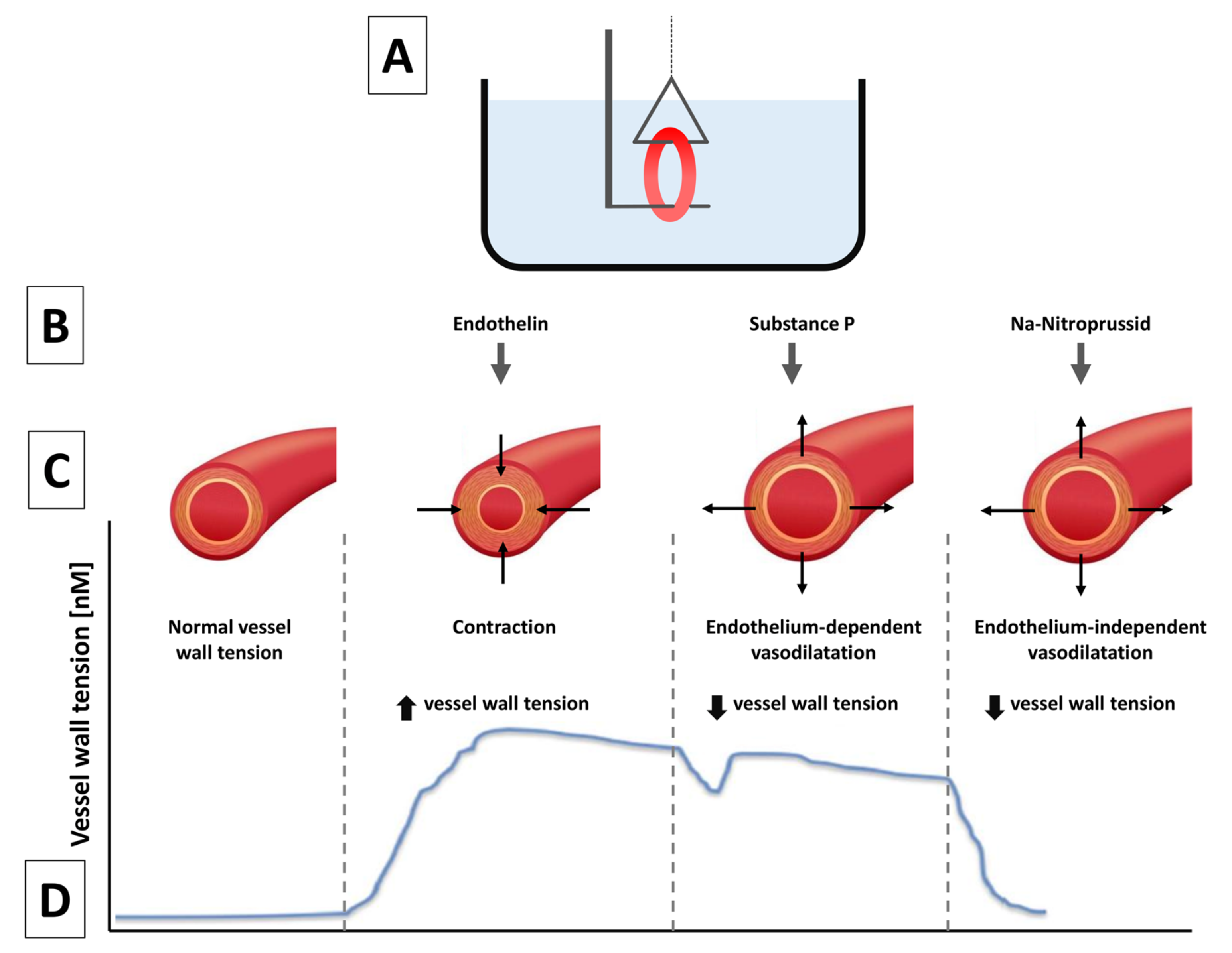 Jpm 13 00280 g002 Jpm 13 00280 g002