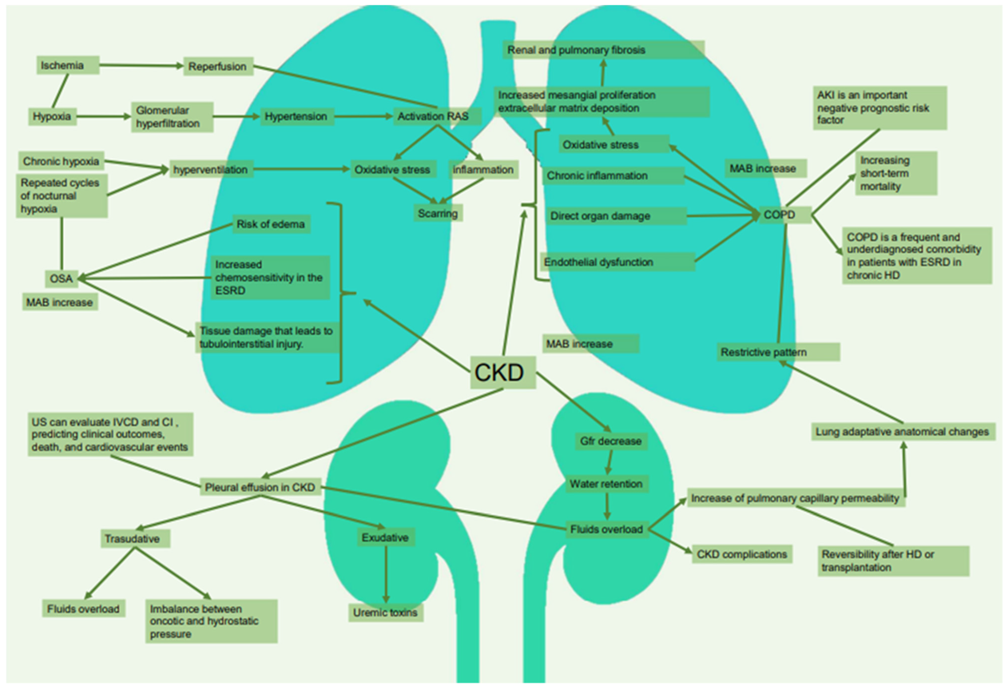 Jpm 13 00286 g001 Jpm 13 00286 g001