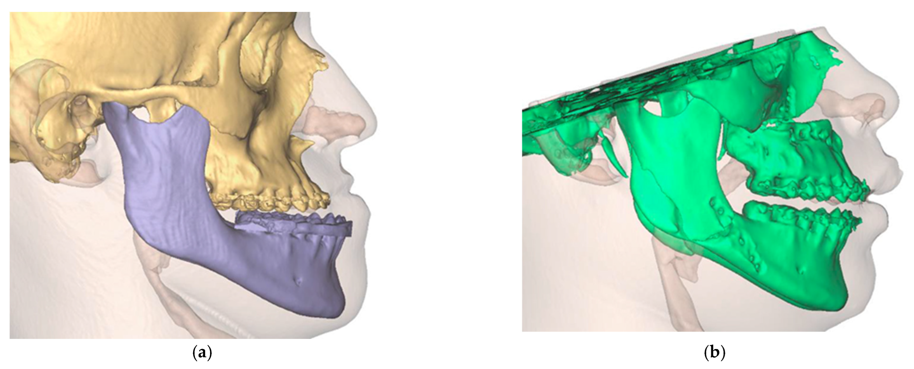 Jpm 13 00287 g014 550