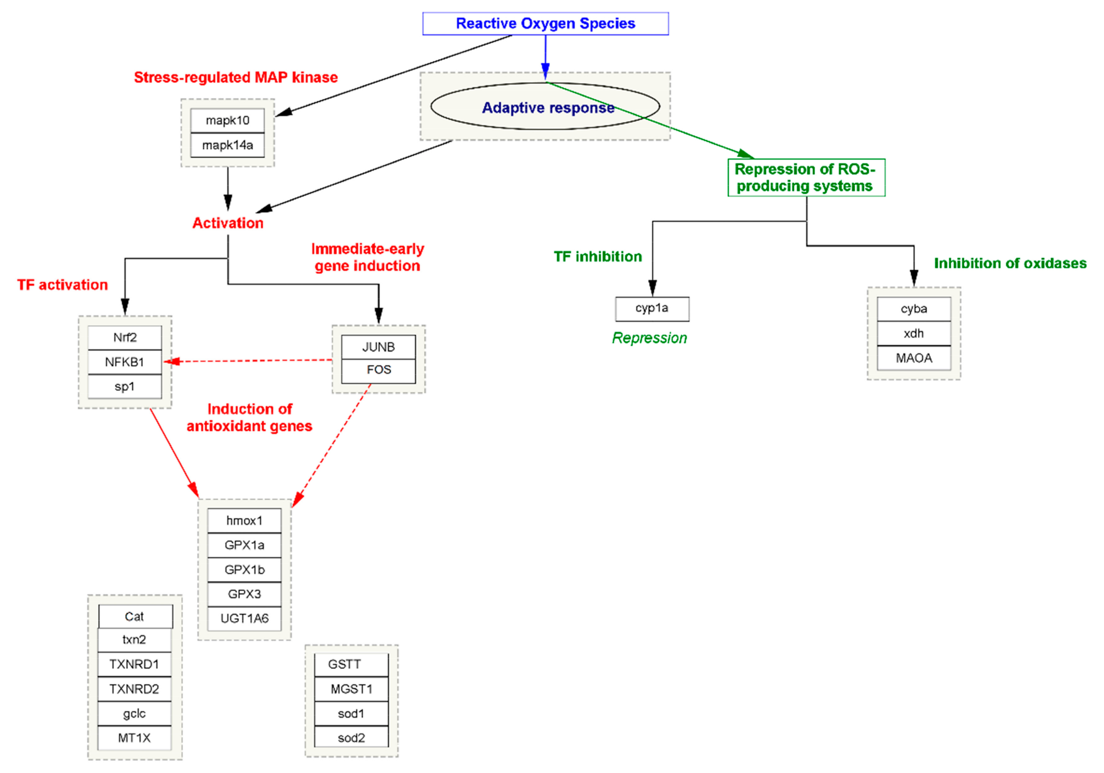 Jpm 13 00298 g003 Jpm 13 00298 g003