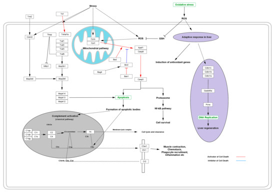 l carnitine in kidney disease L-Carnitine and Chronic Kidney Disease: A Comprehensive Review on Nutrition  and Health Perspectives