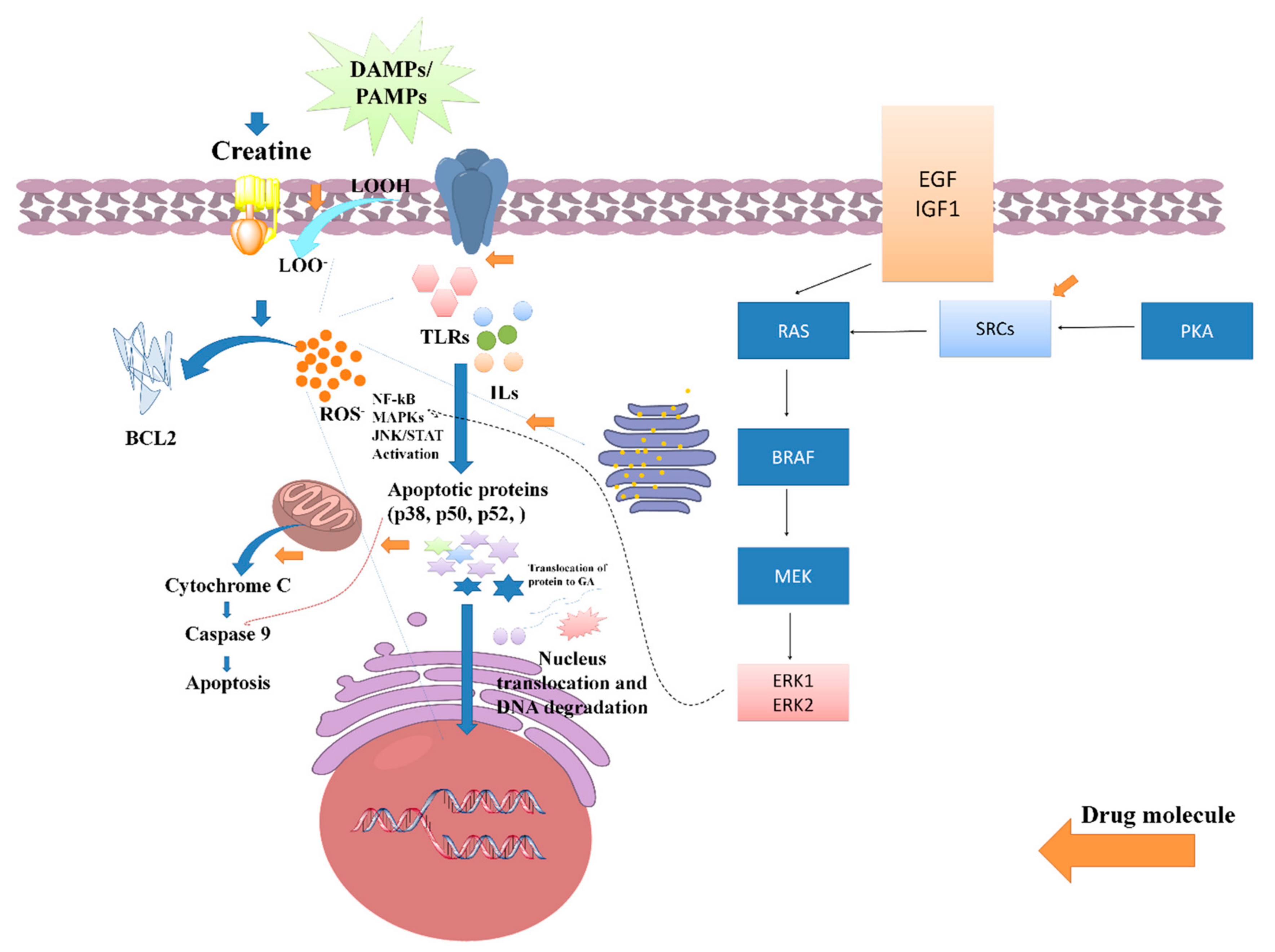 Jpm 13 00298 g005 Jpm 13 00298 g005