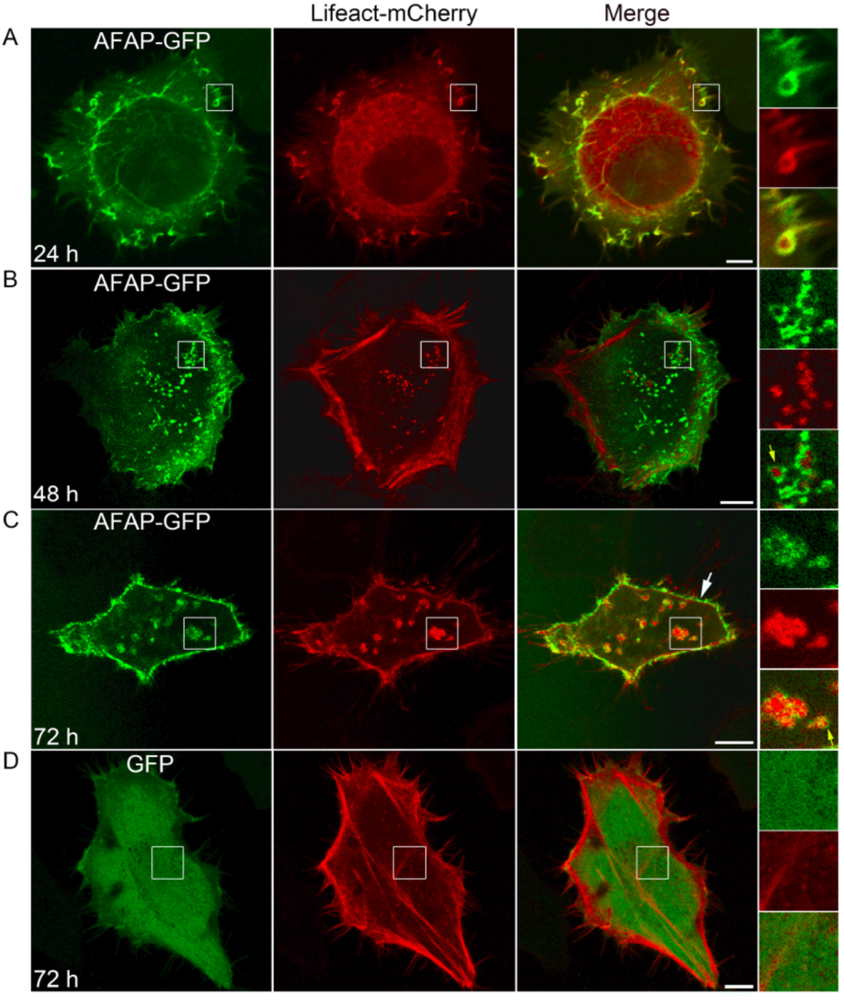 Jpm 13 00302 g001 Jpm 13 00302 g001