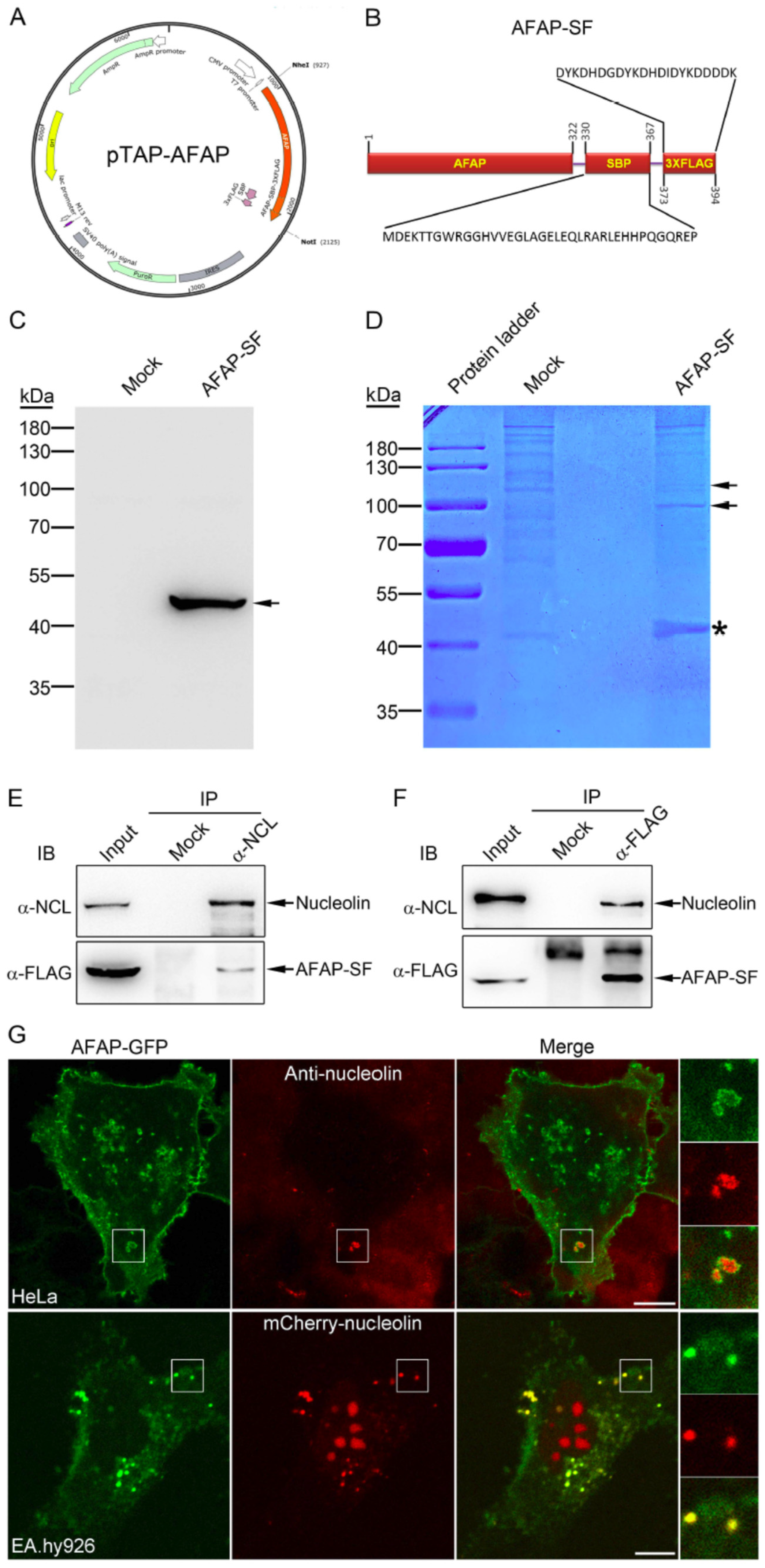 Jpm 13 00302 g002 Jpm 13 00302 g002