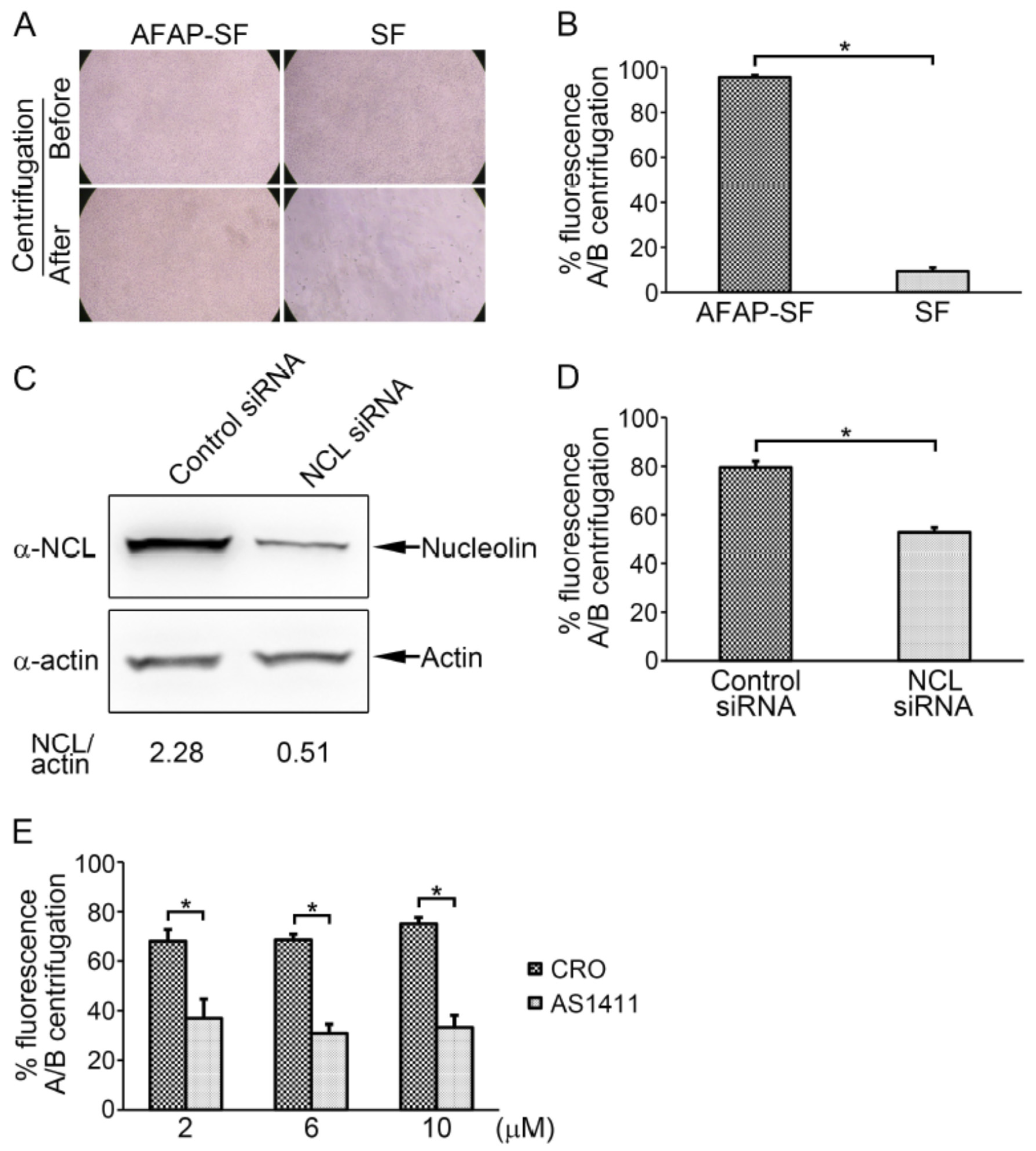 Jpm 13 00302 g003 Jpm 13 00302 g003