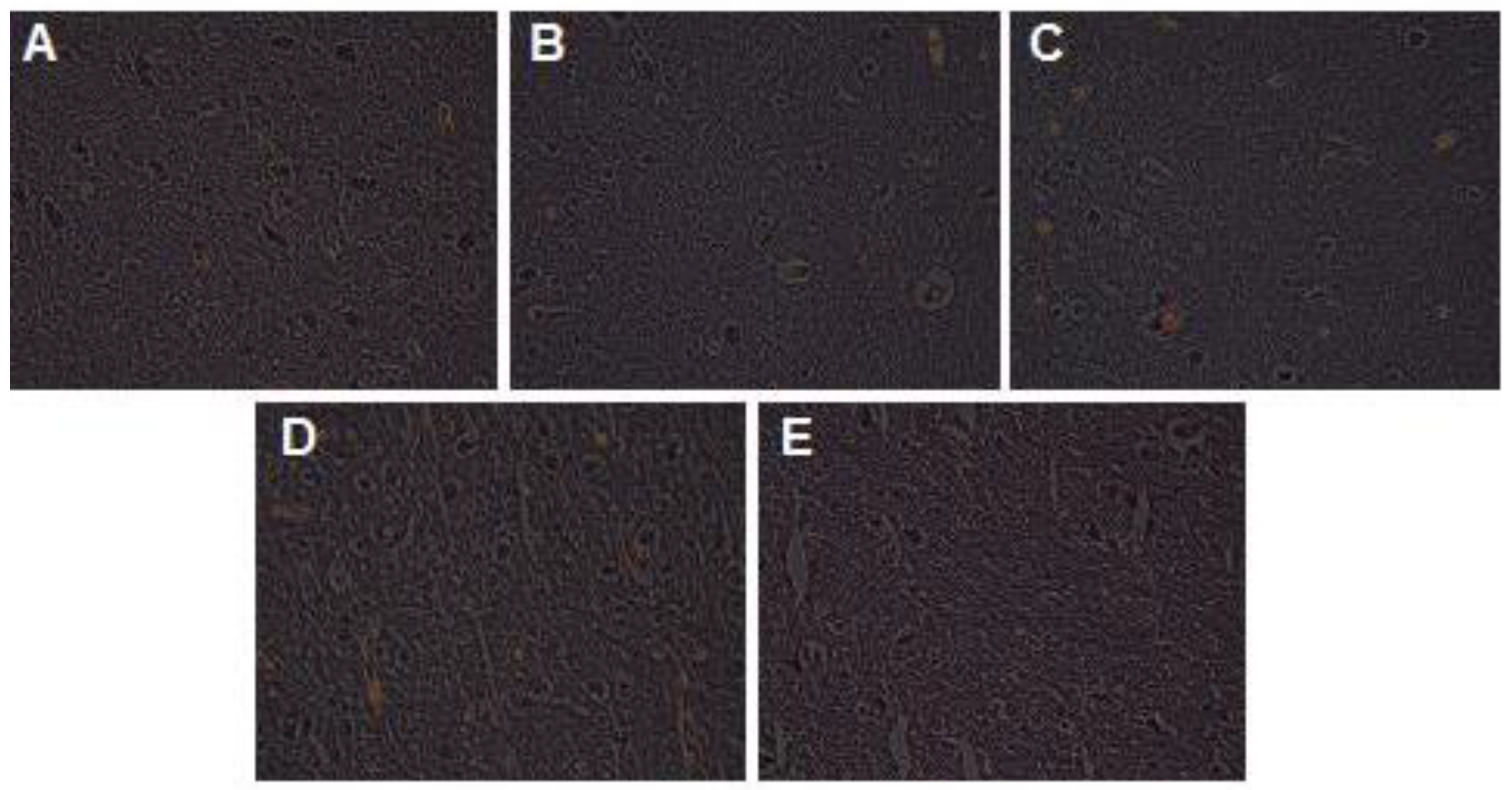 Jpm 13 00322 g004 Jpm 13 00322 g004