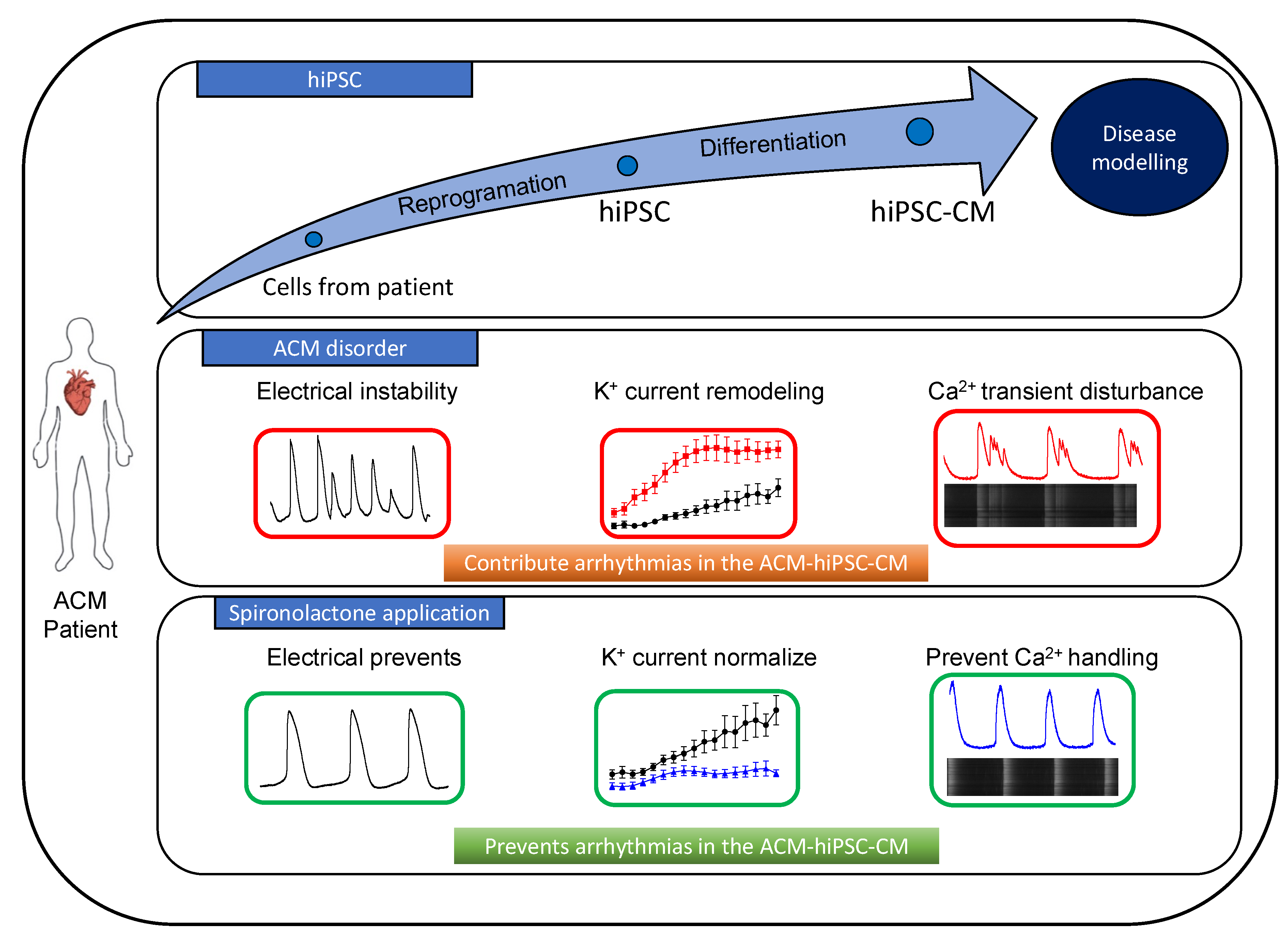 Jpm 13 00335 g007 Jpm 13 00335 g007
