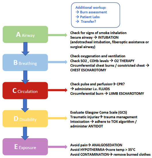 JPM Free FullText Introducing the “SIMline”—A Simulation Course in