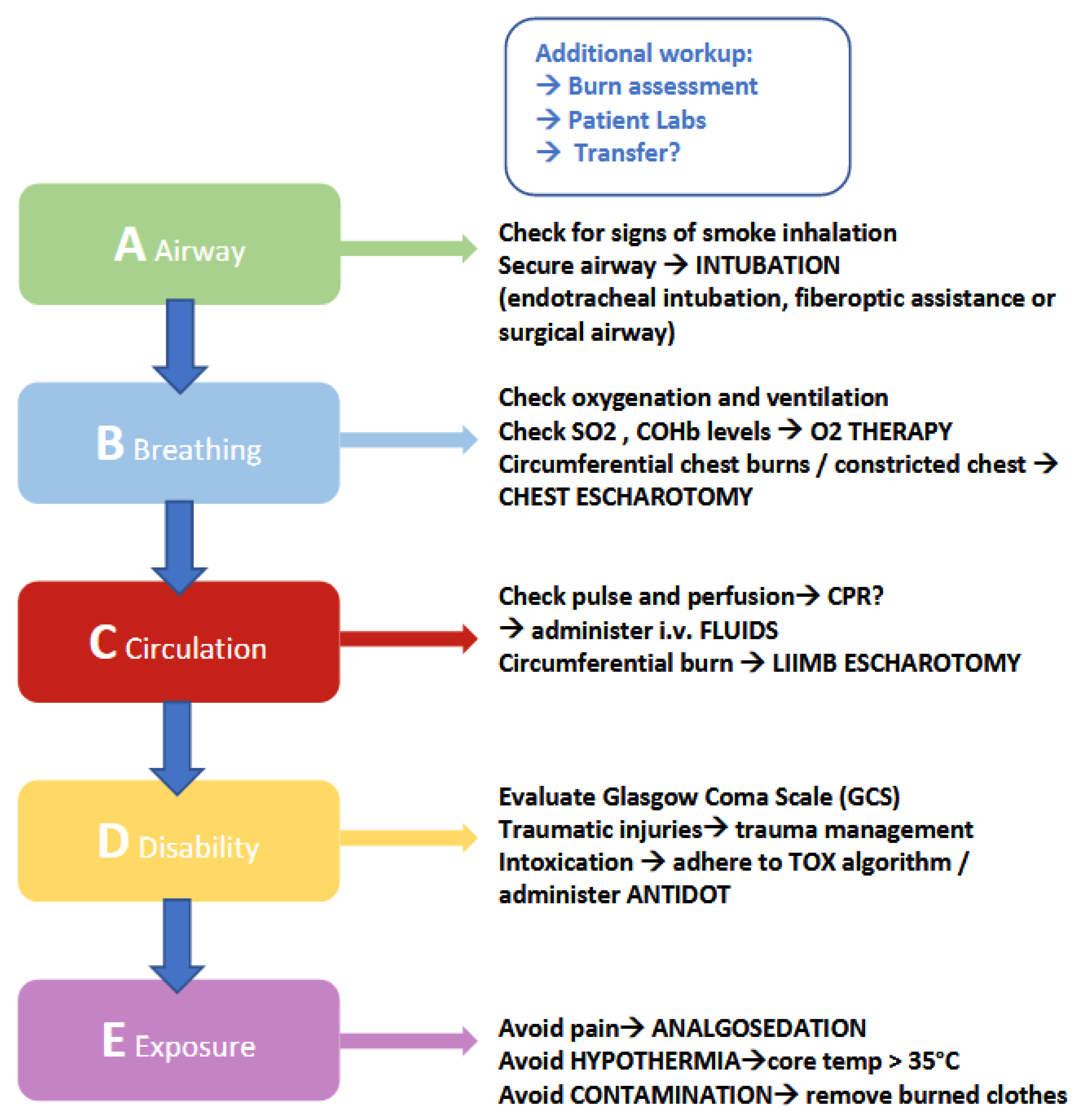 JPM Free FullText Introducing the “SIMline”—A Simulation Course in