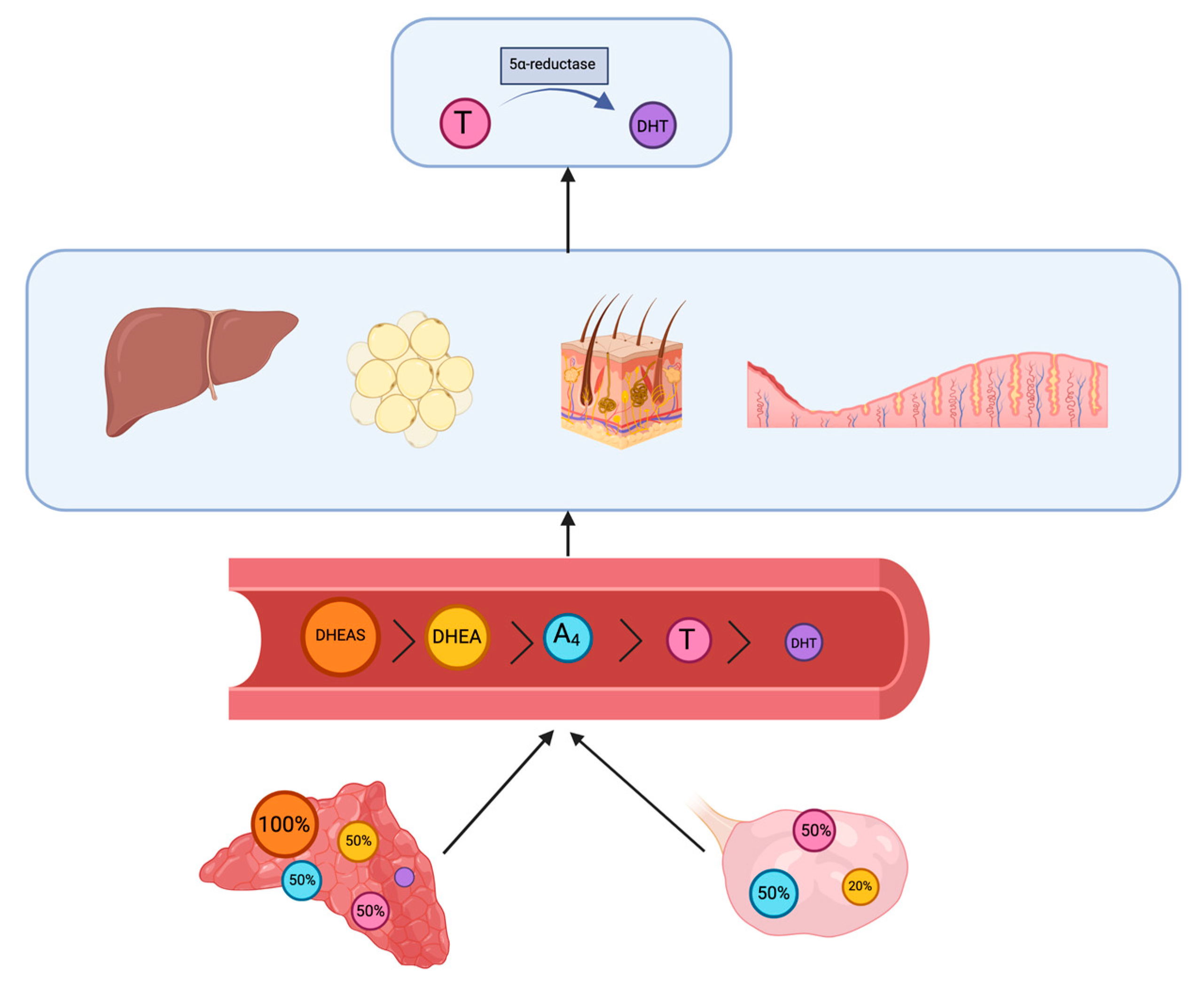 Jpm 13 00341 g001 Jpm 13 00341 g001