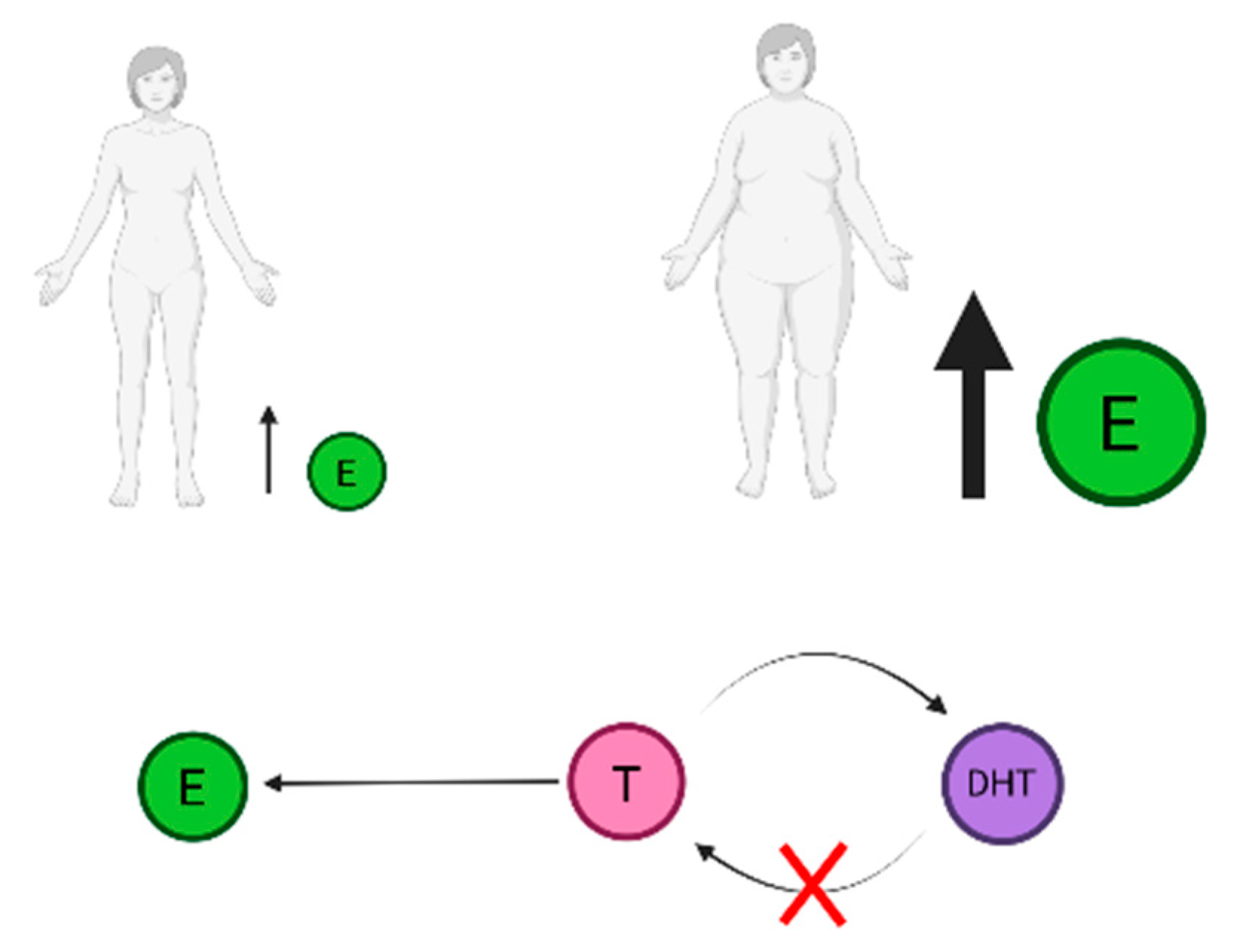 Jpm 13 00341 g002 Jpm 13 00341 g002