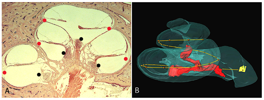 Jpm 13 00352 g002 Jpm 13 00352 g002