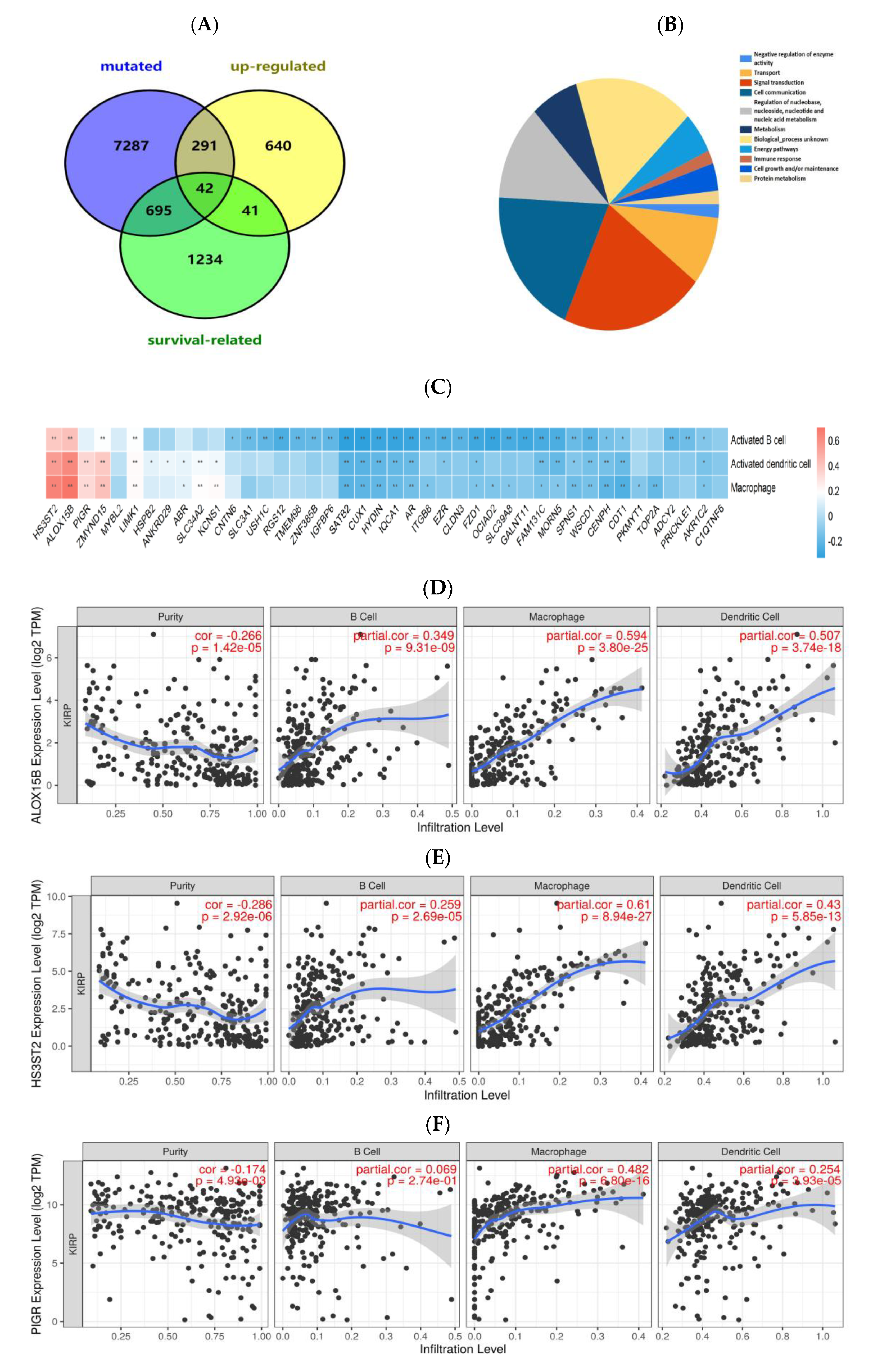 Jpm 13 00359 g003a Jpm 13 00359 g003a