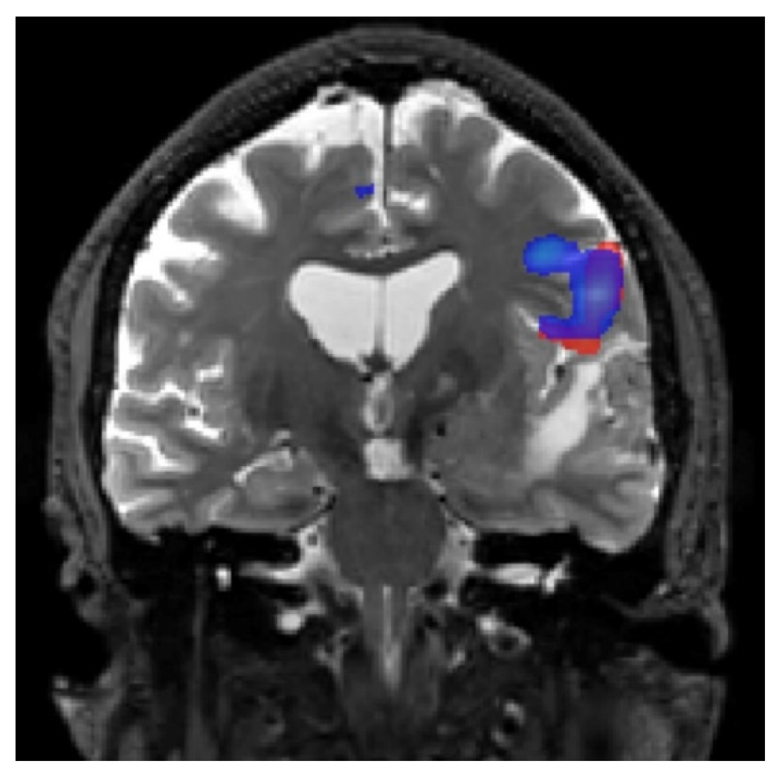 Jpm 13 00370 g005 Jpm 13 00370 g005